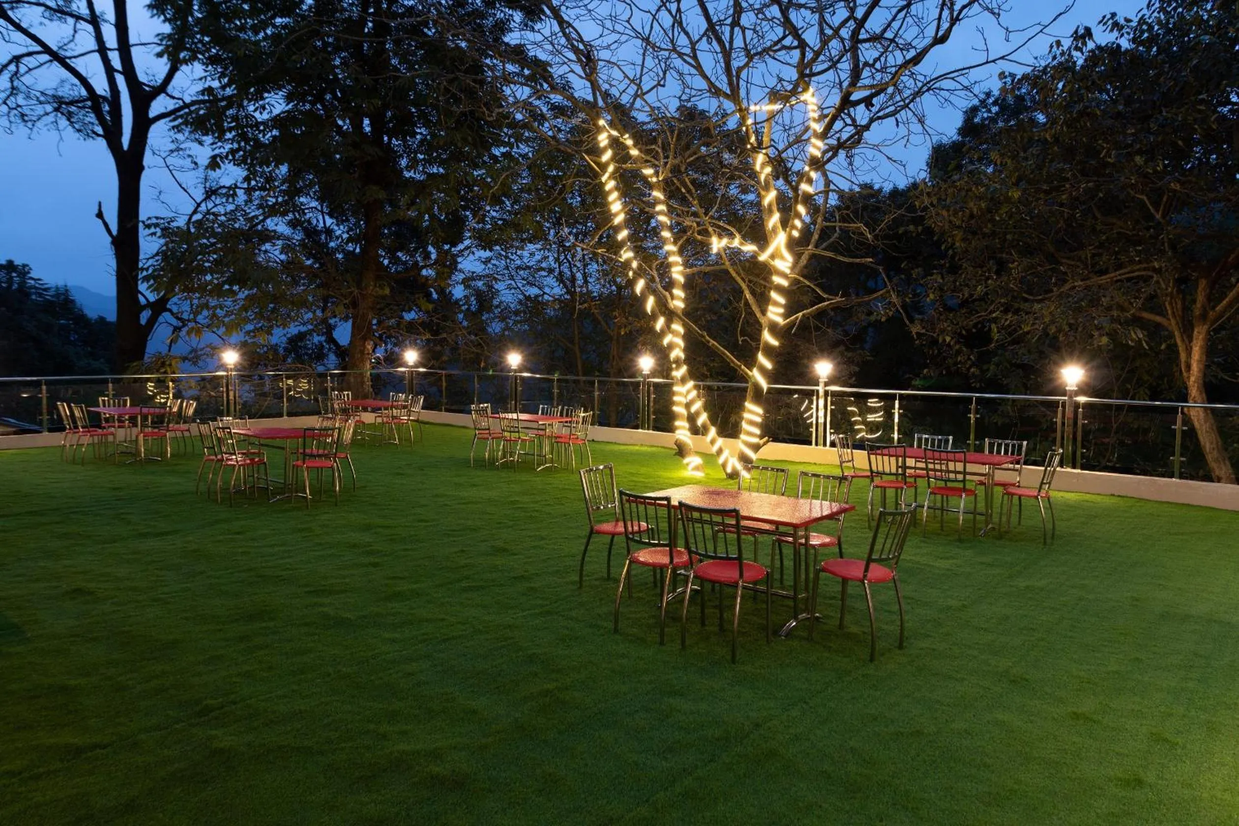 Restaurant/places to eat in Hotel Wild Wood