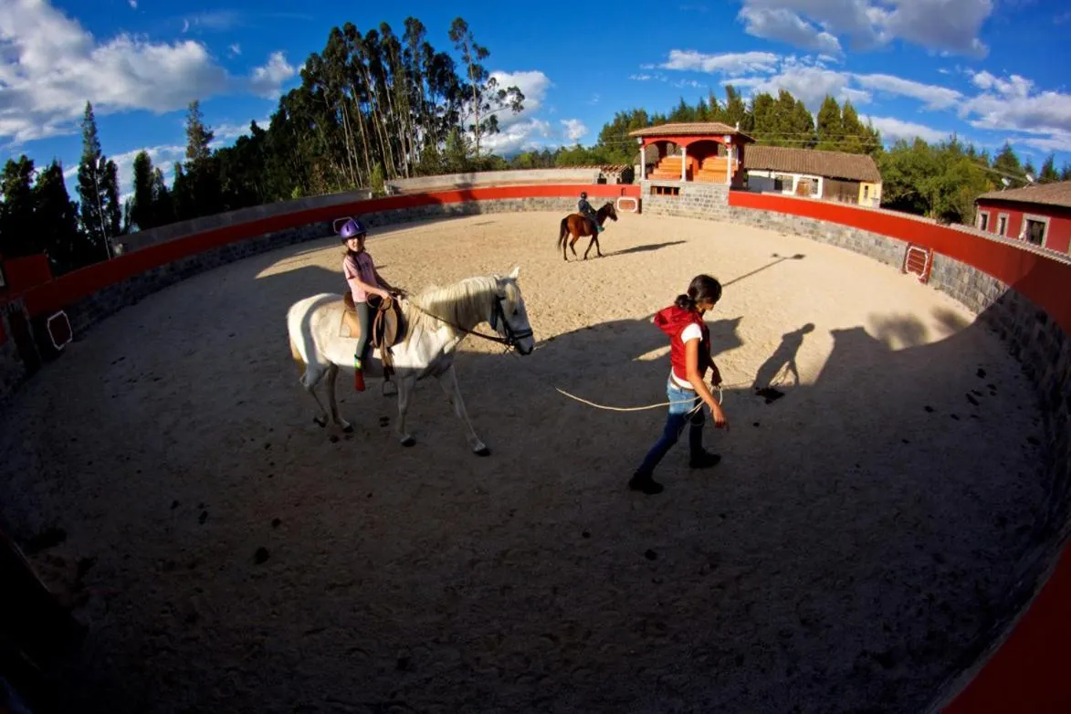 Horse-riding in Hacienda Hato Verde