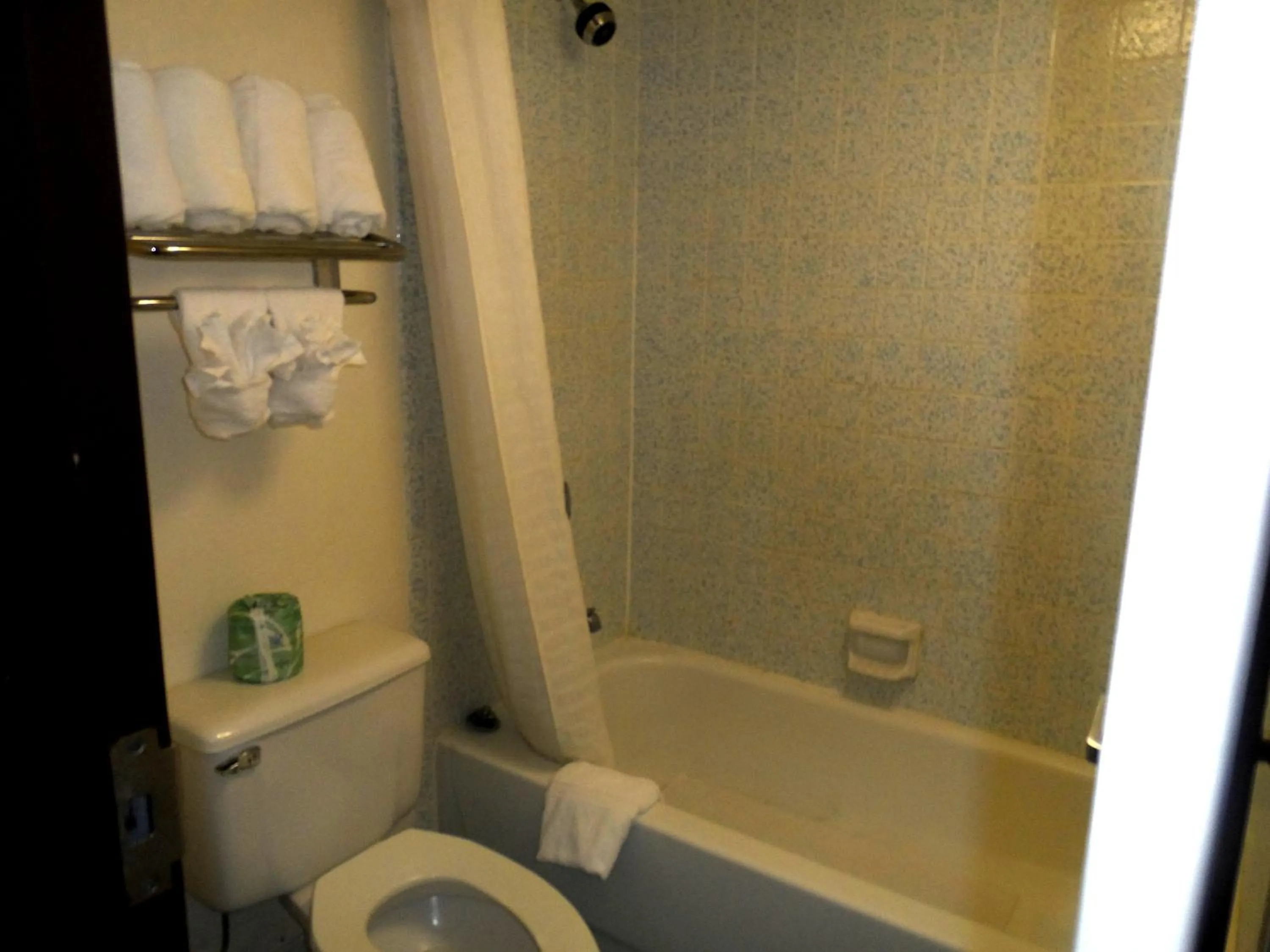 Bathroom in Budgetel Inn Houston/Nasa