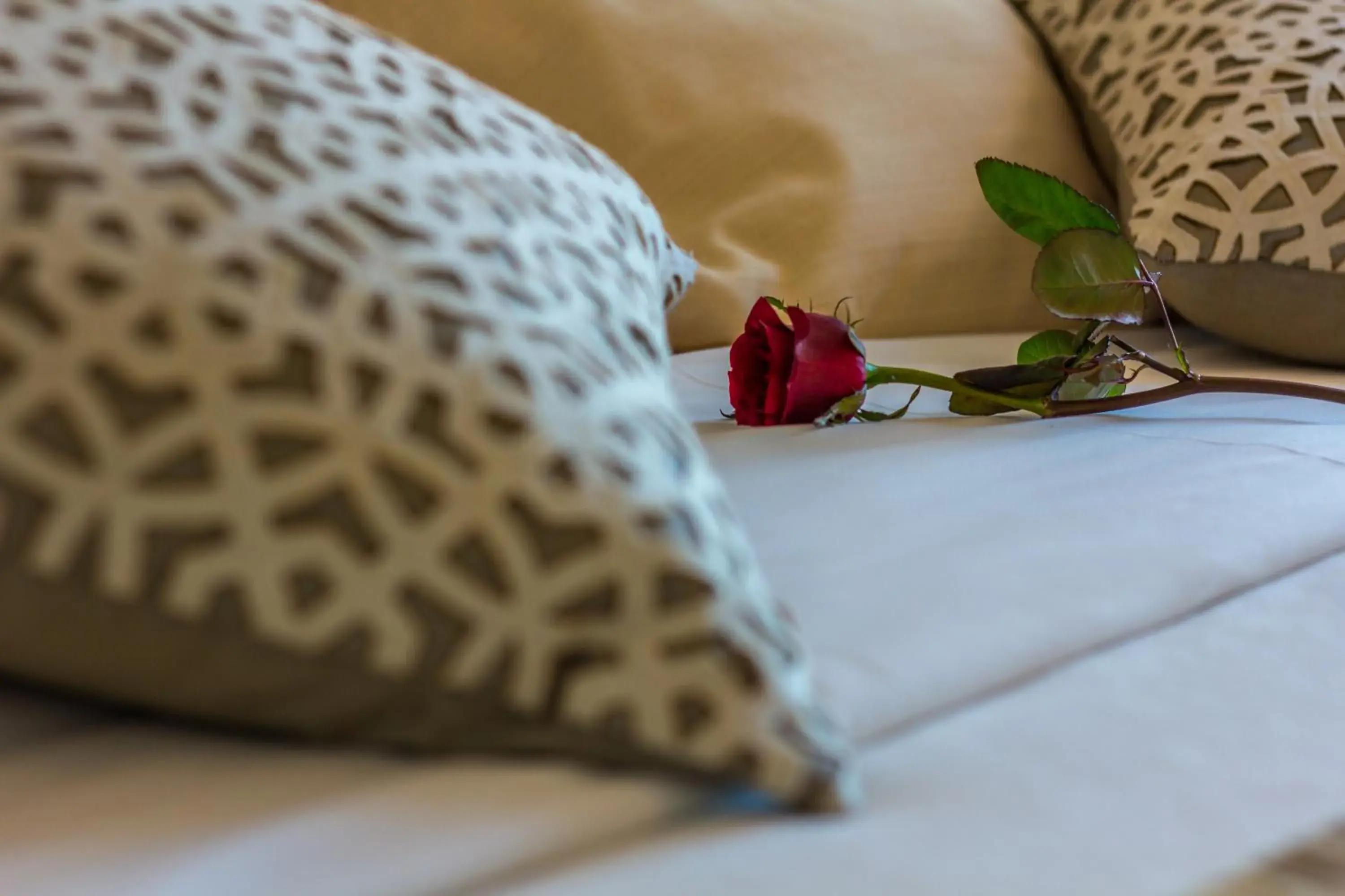 Decorative detail, Bed in Hotel Sao Sebastiao de Boliqueime Decorative detail, Bed in Hotel Sao Sebastiao de Boliqueime