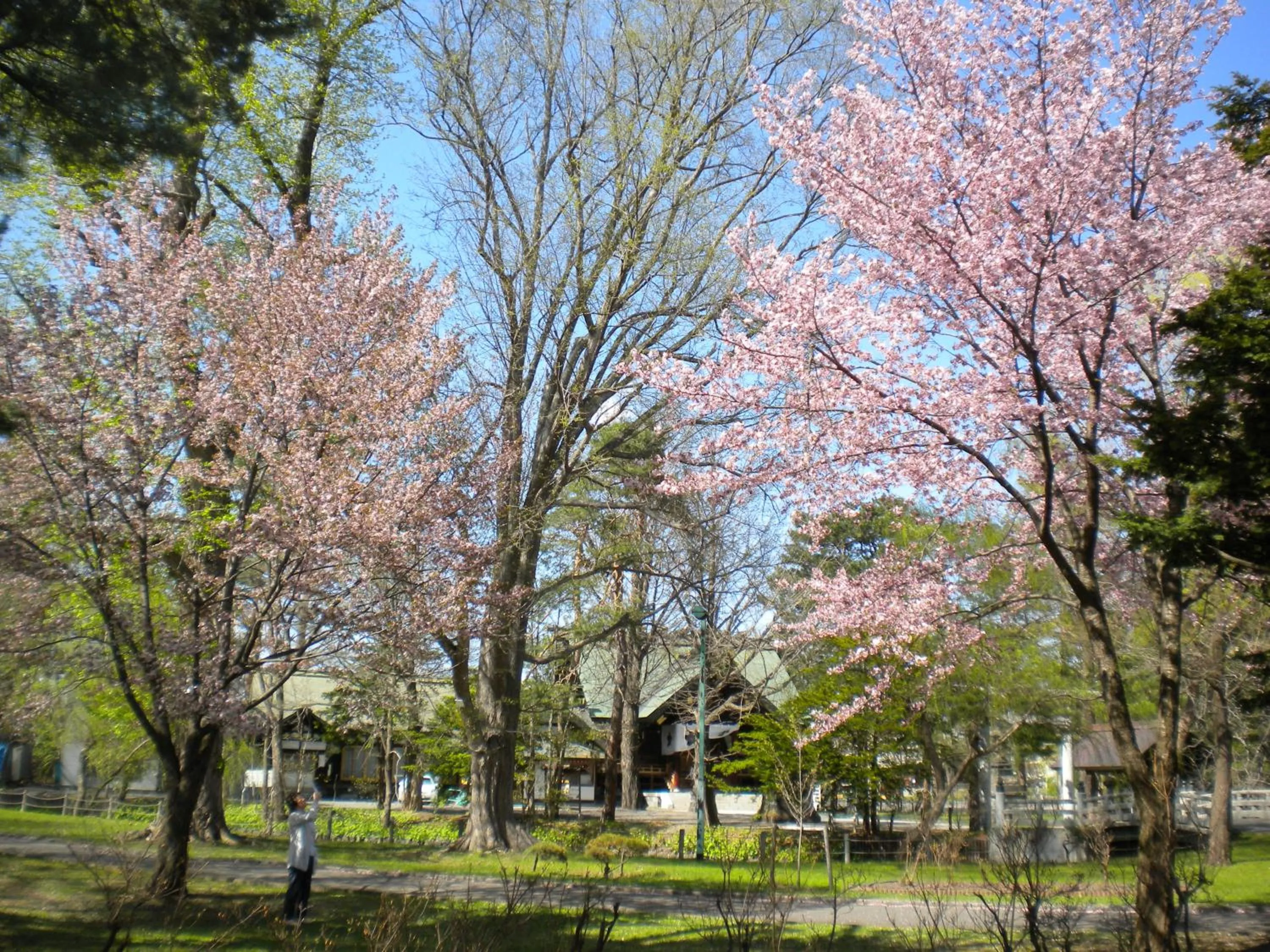 Mimatsuso Ryokan