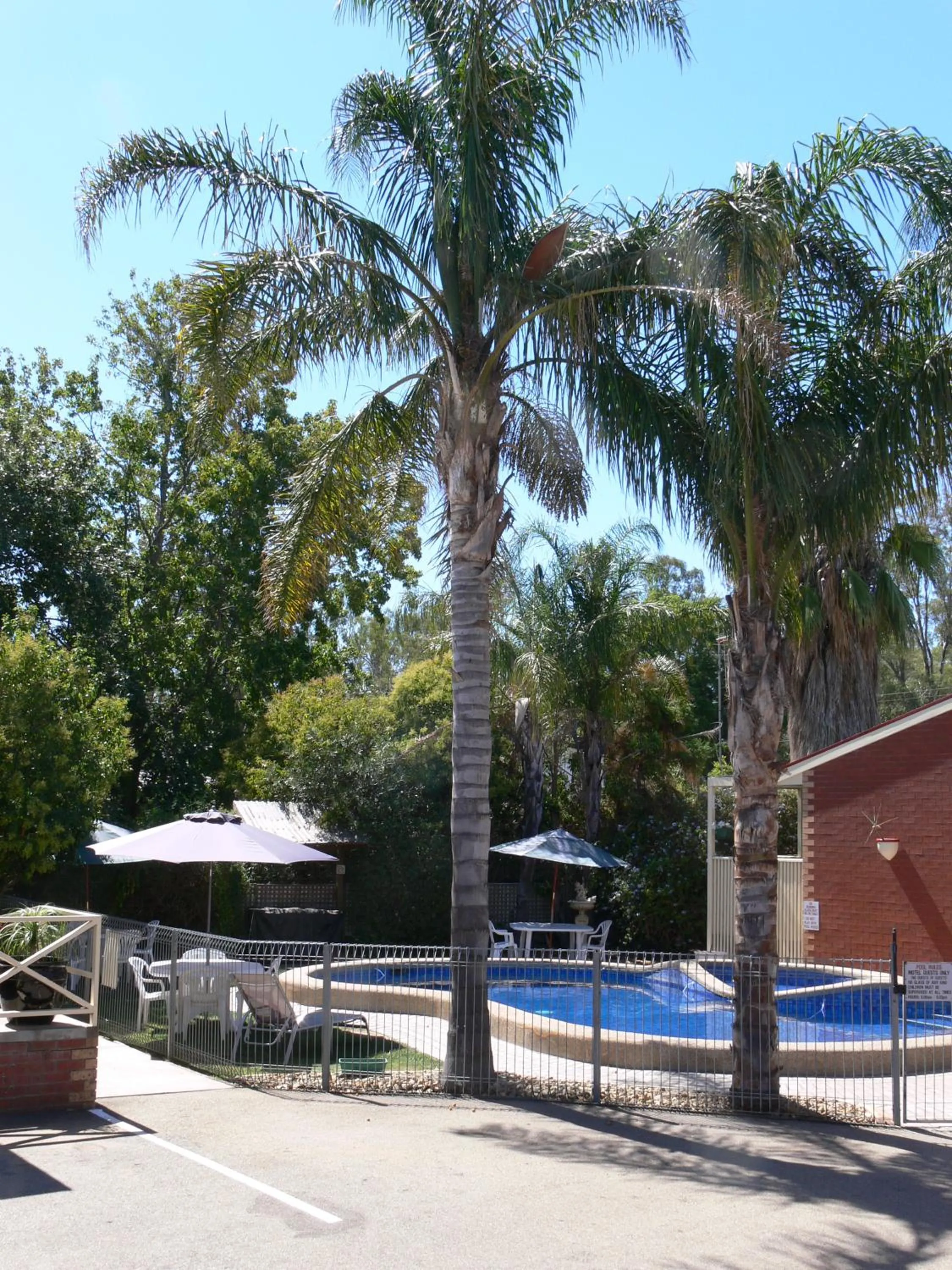 Swimming pool in Old Coach Motor Inn Echuca