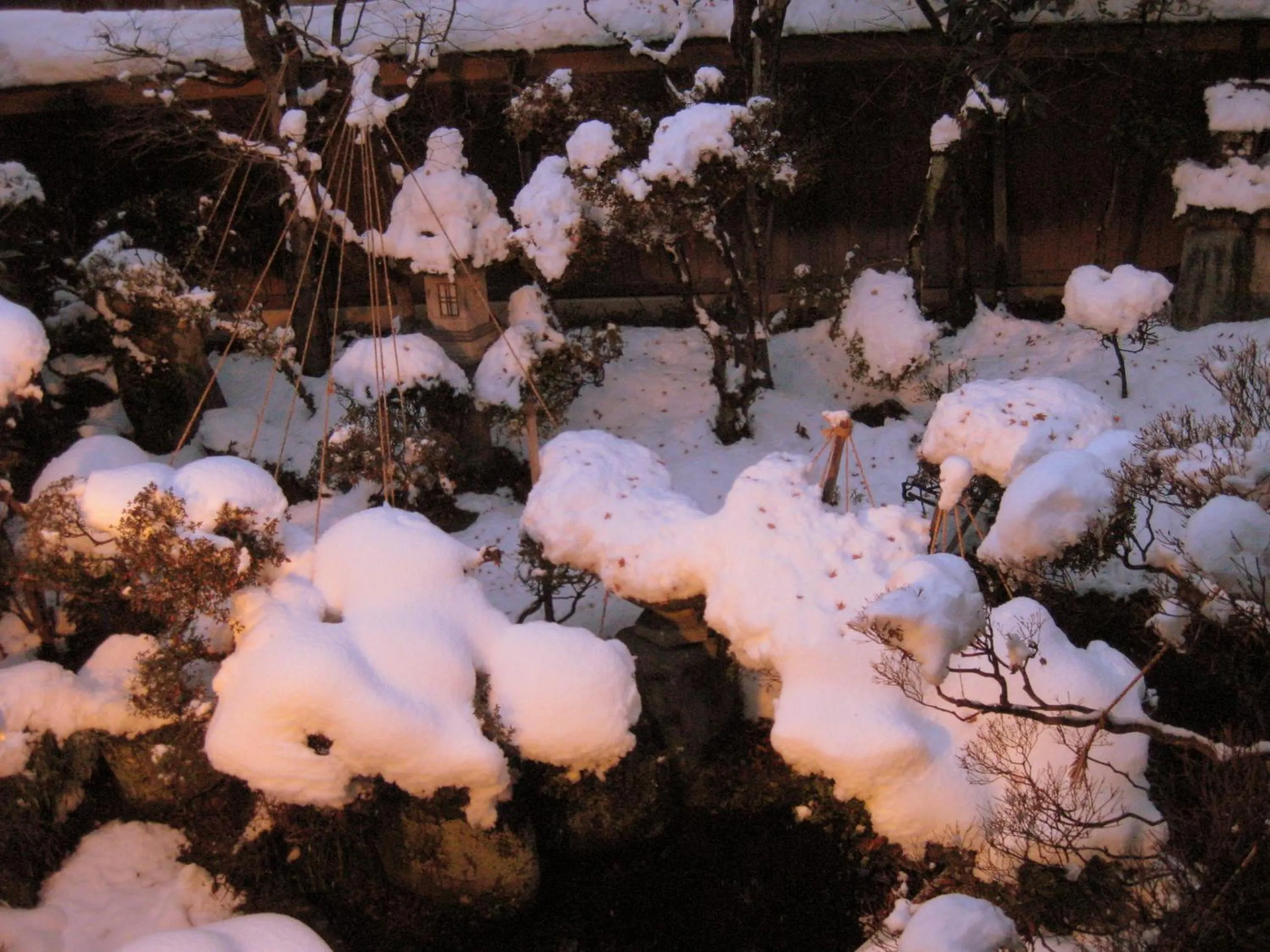 Garden view in Ryokan Kaminaka