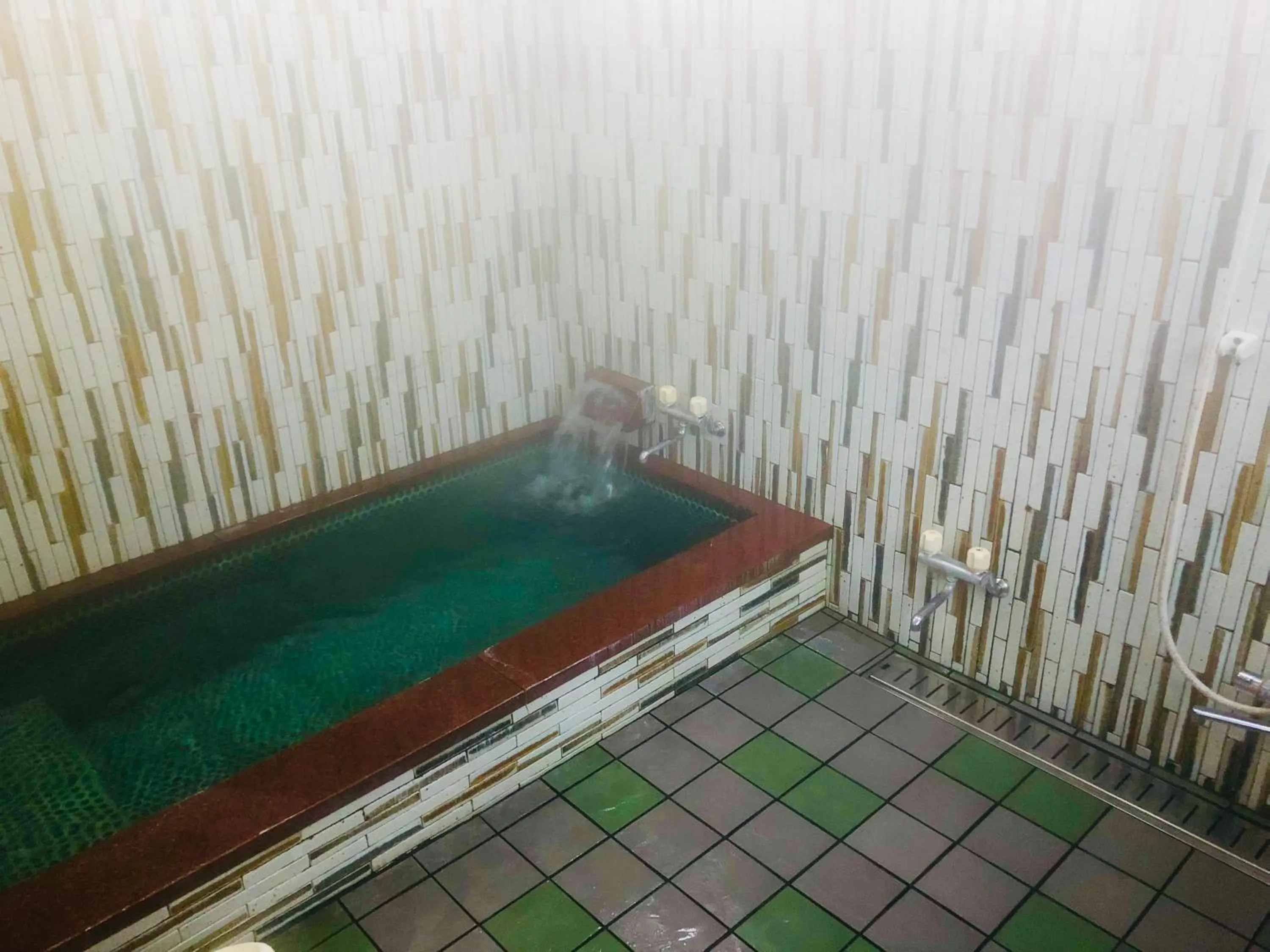 Hot Spring Bath in Ryokan Kaminaka