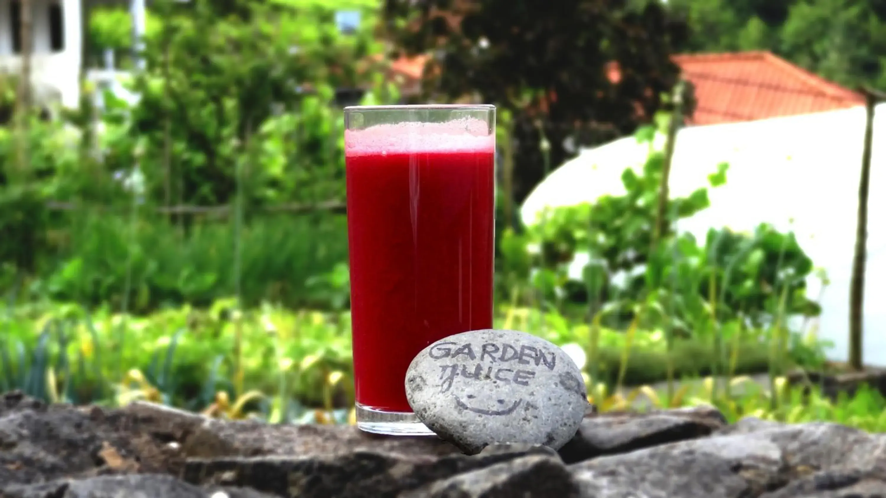 Double Room - single occupancy in Solar da Bica Double Room - single occupancy in Solar da Bica