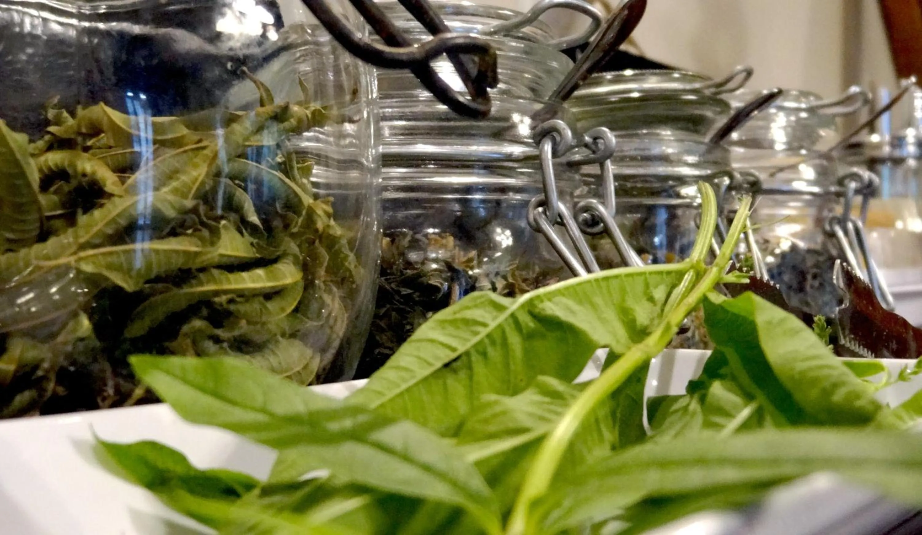 Food and drinks in Solar da Bica