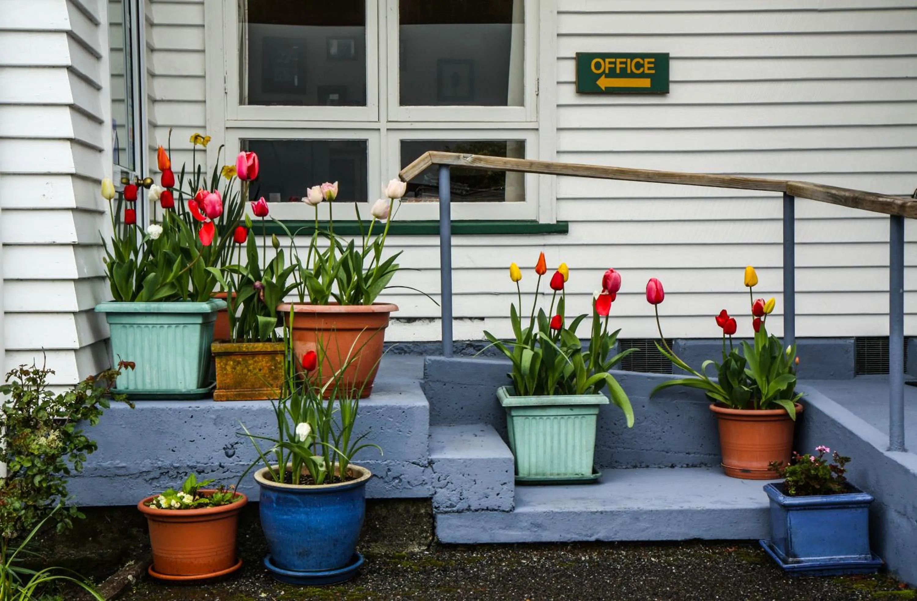 Facade/entrance in Rainforest Motel