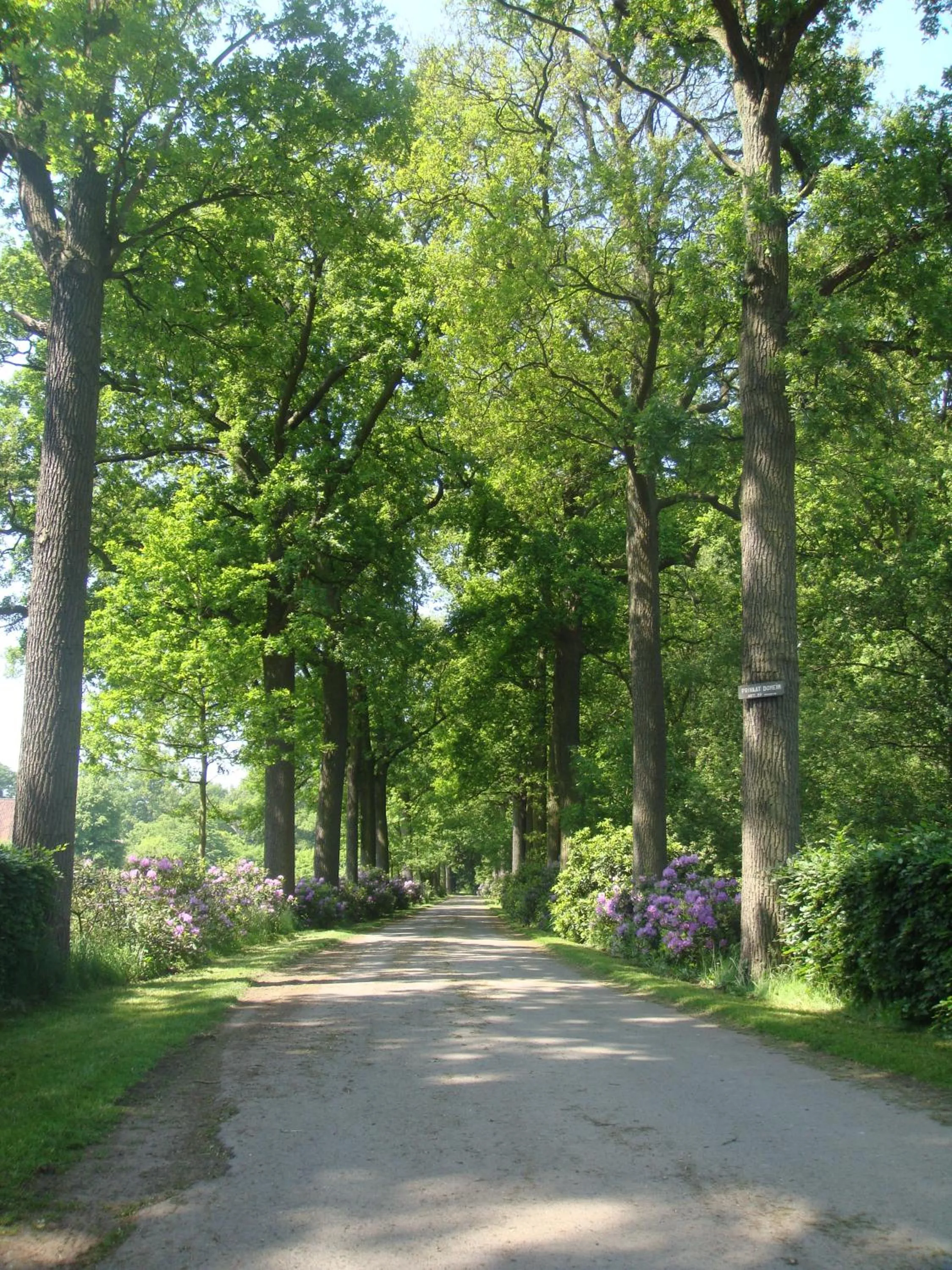 Street view in Bossenstein Golf & Polo Club