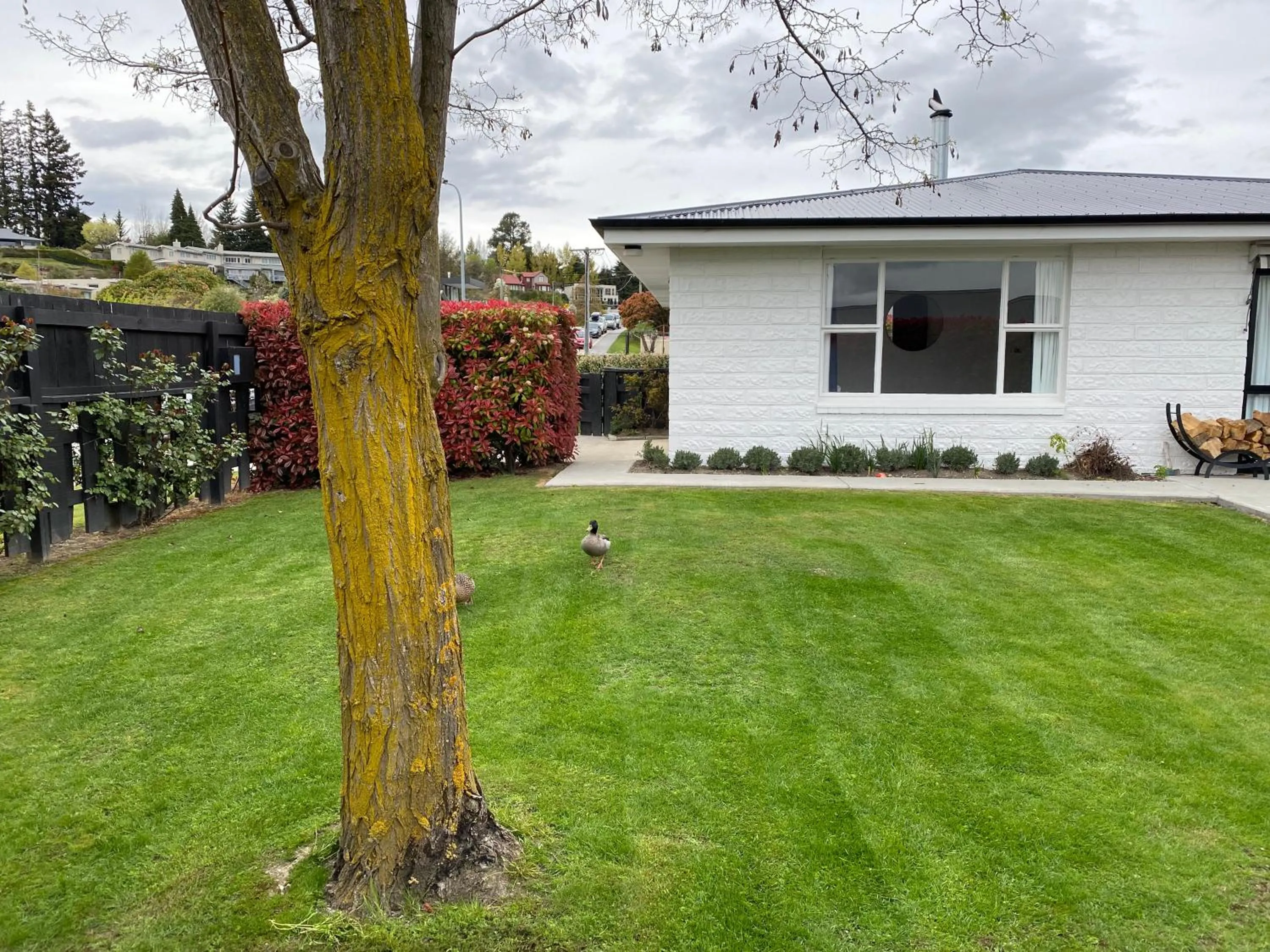 1 - Delightfully fresh, private home close to town
