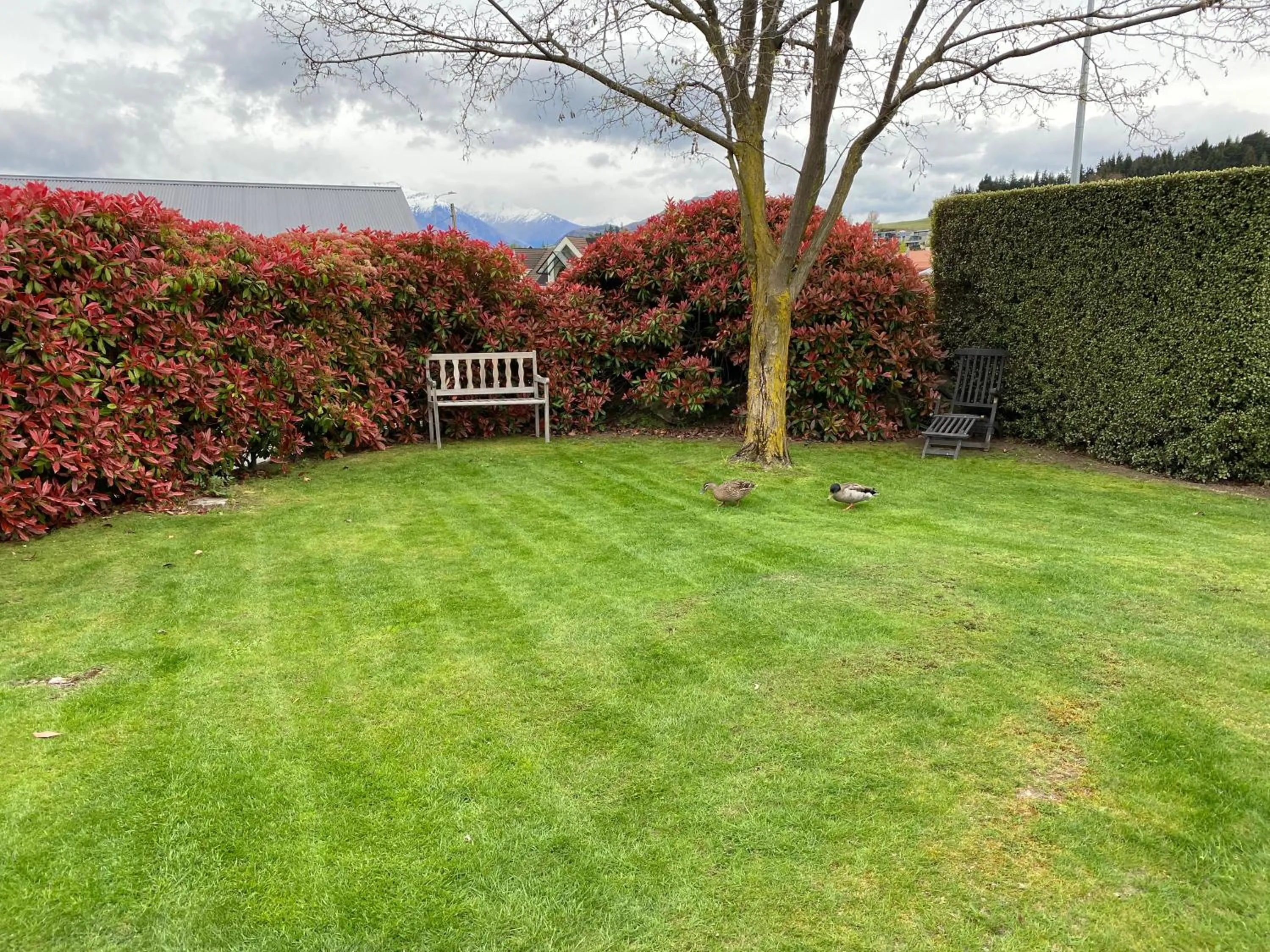 1 - Delightfully fresh, private home close to town