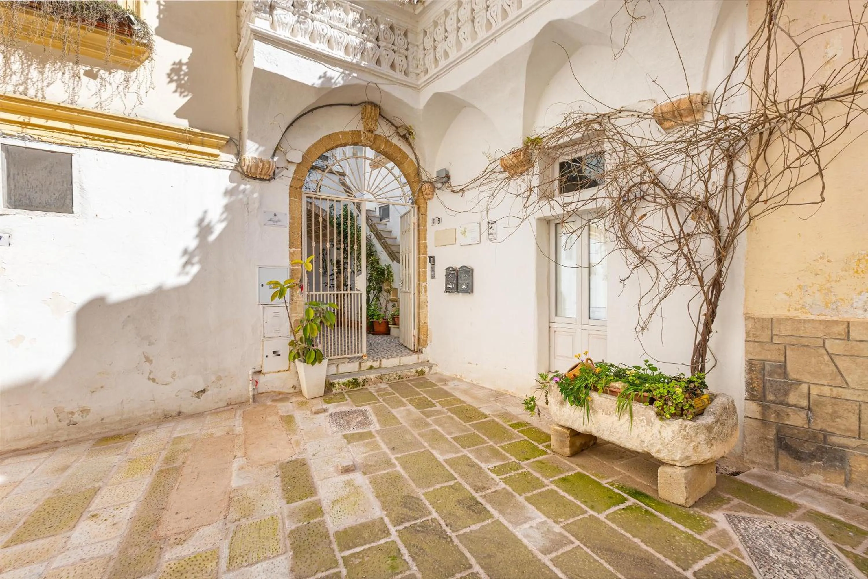 Property building in Clara Domus