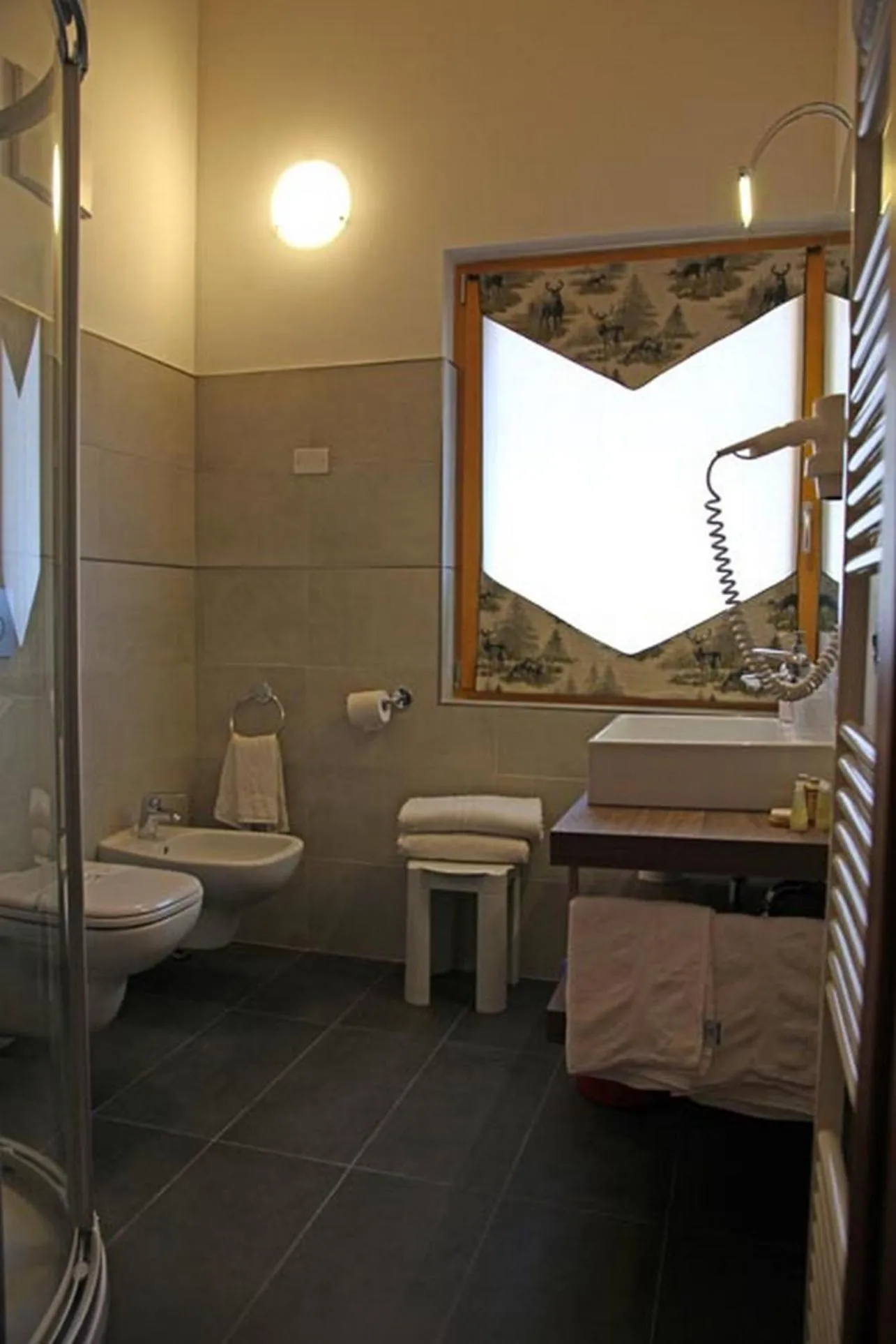 Bathroom in Sport Hotel Stella Alpina