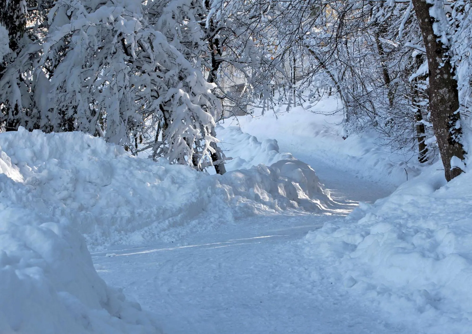 Natural landscape in Lodge Hof Weissbad