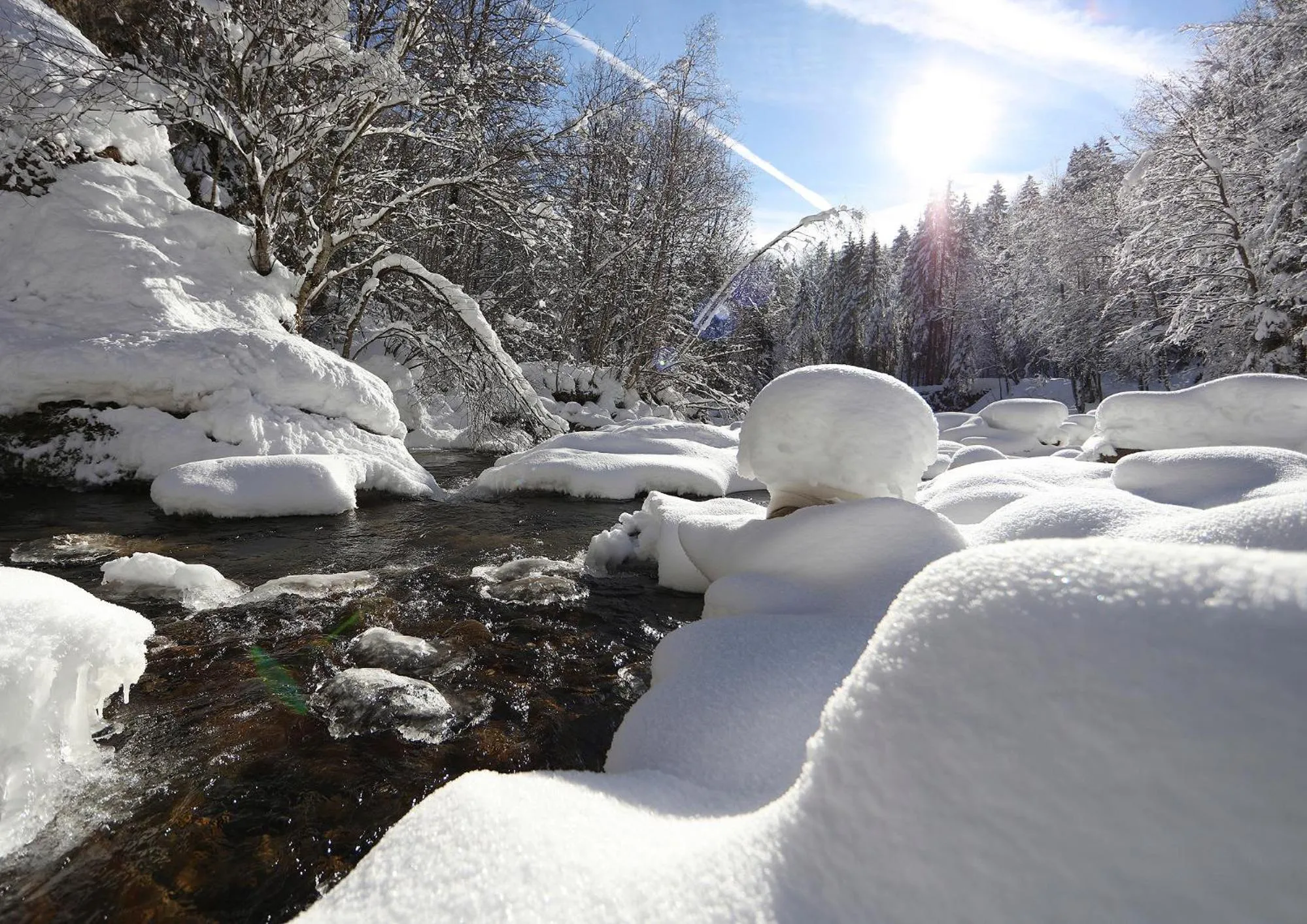 Natural landscape in Lodge Hof Weissbad