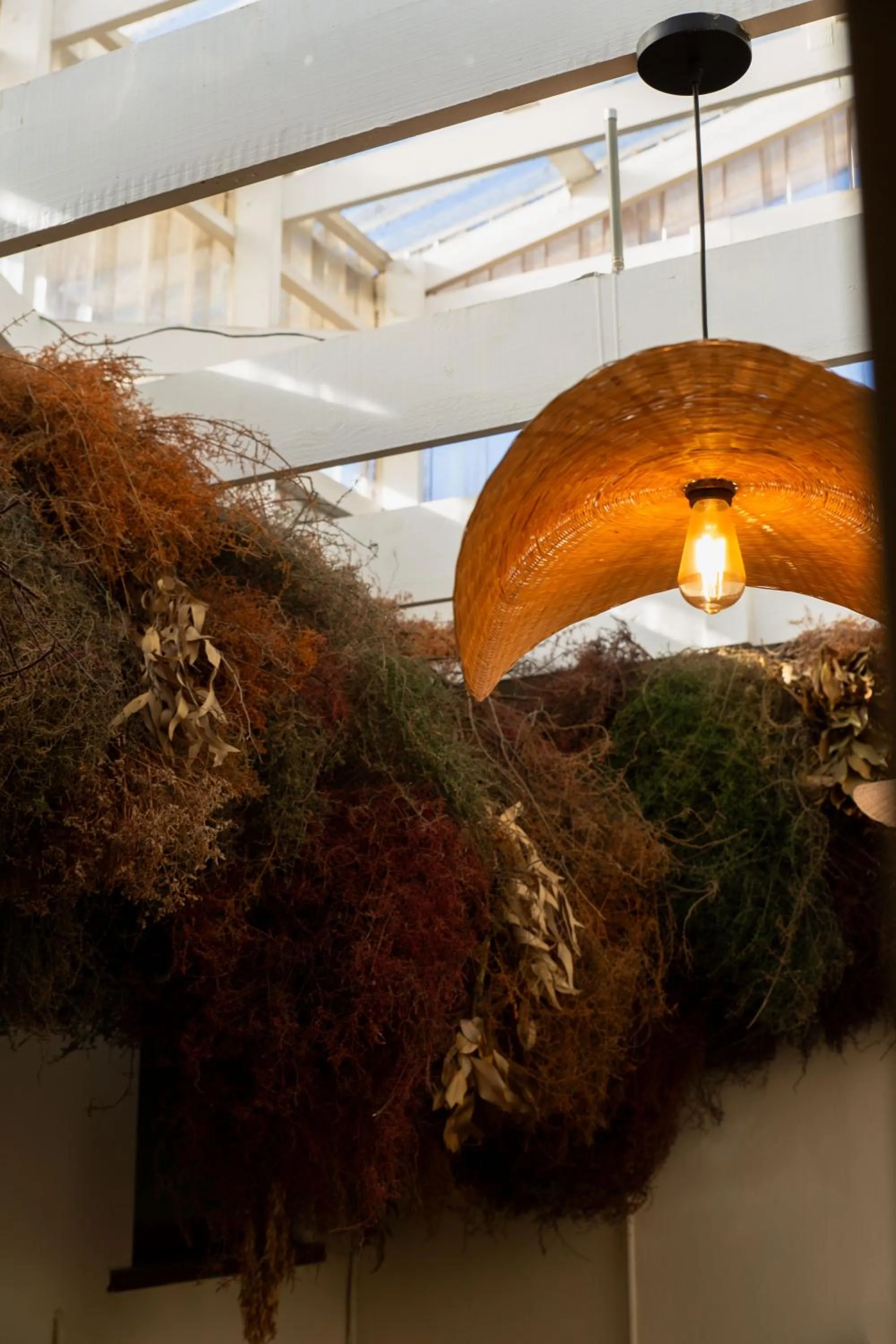 Sonnekus Boutique Hotel & Bistro