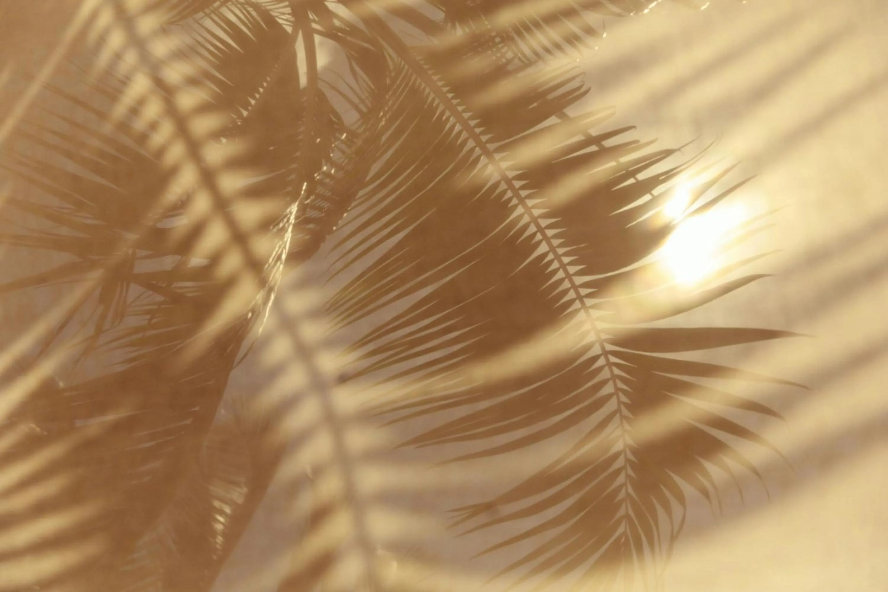 Other in JW Marriott Mauritius Resort