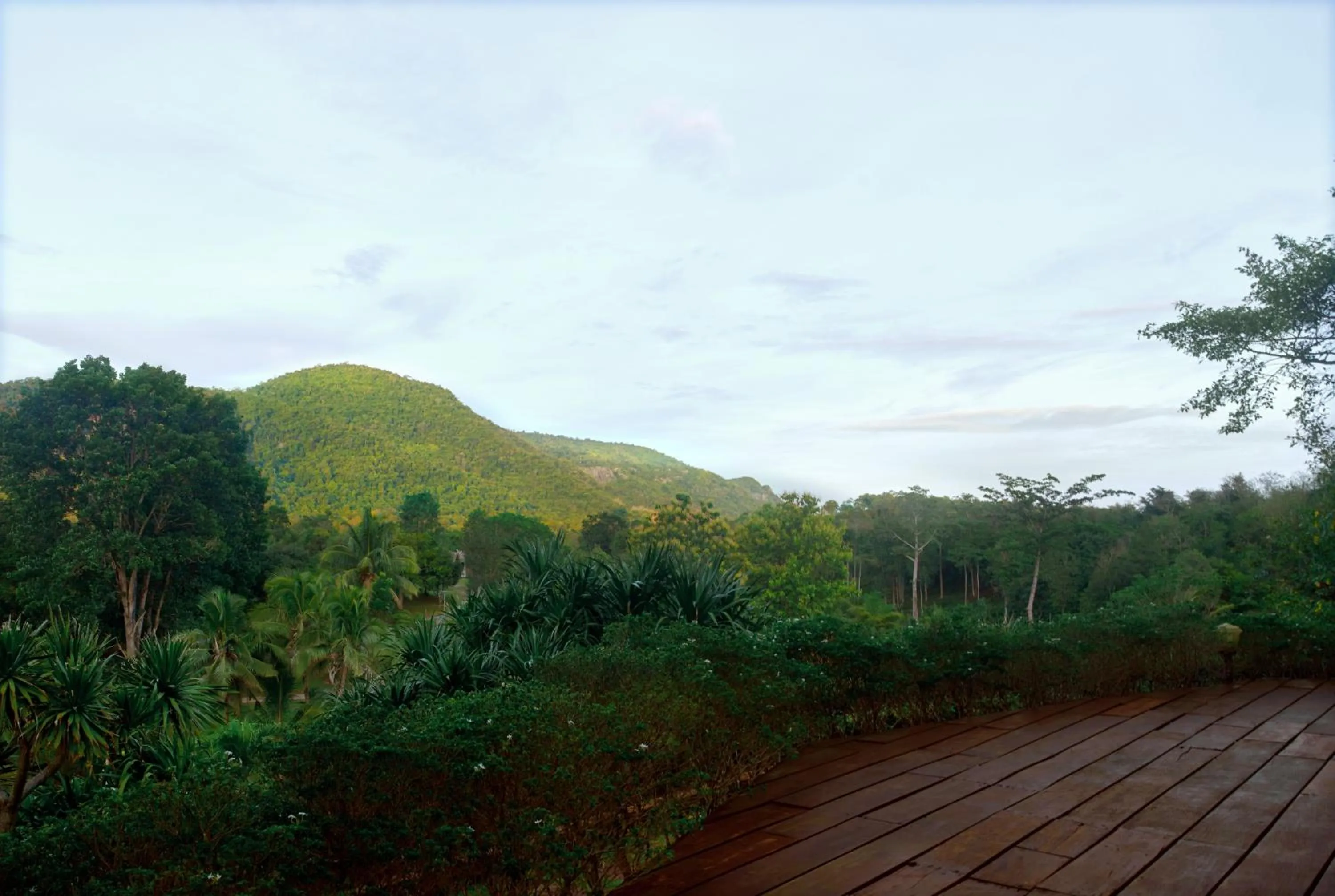 Balcony/Terrace in NUYU Khaoyai