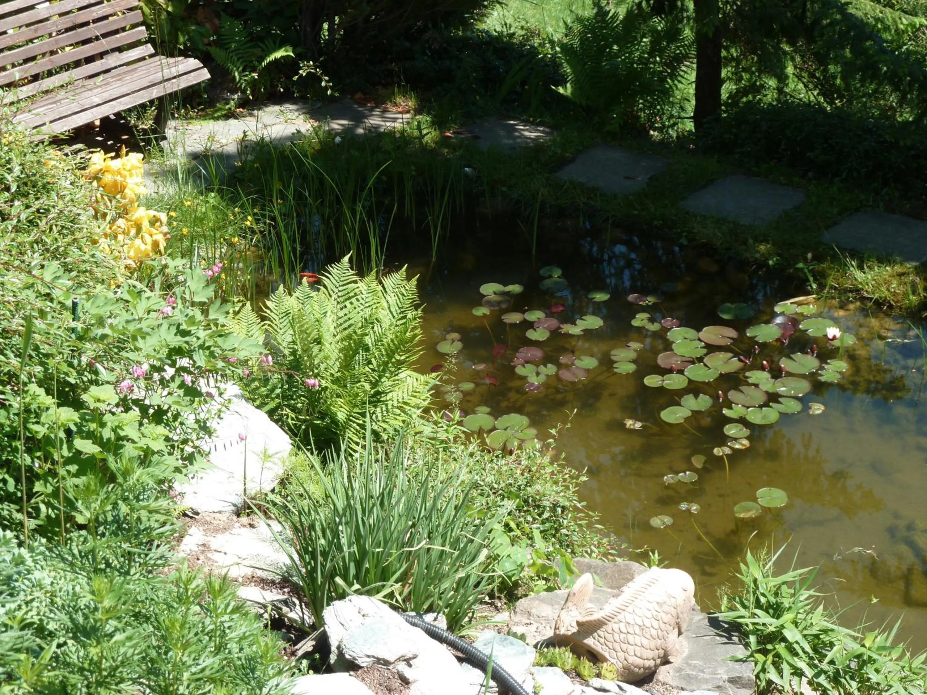 Bed & Breakfast La Val