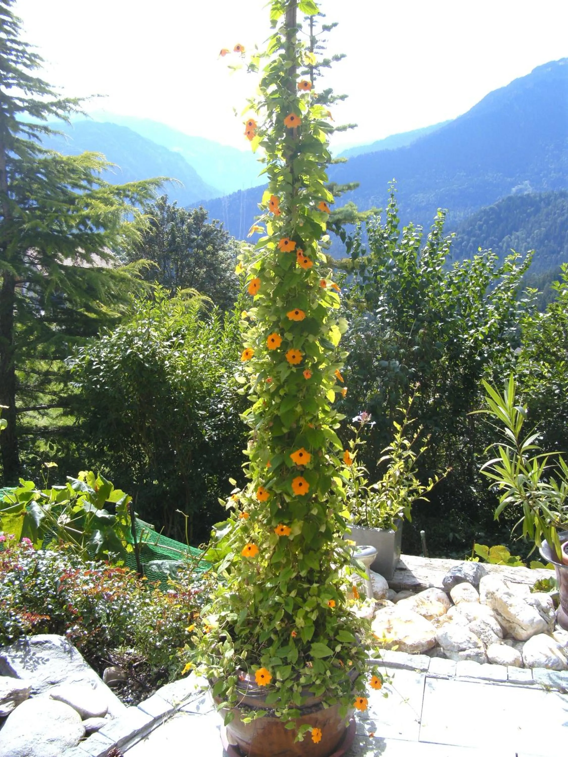 Garden in Bed & Breakfast La Val