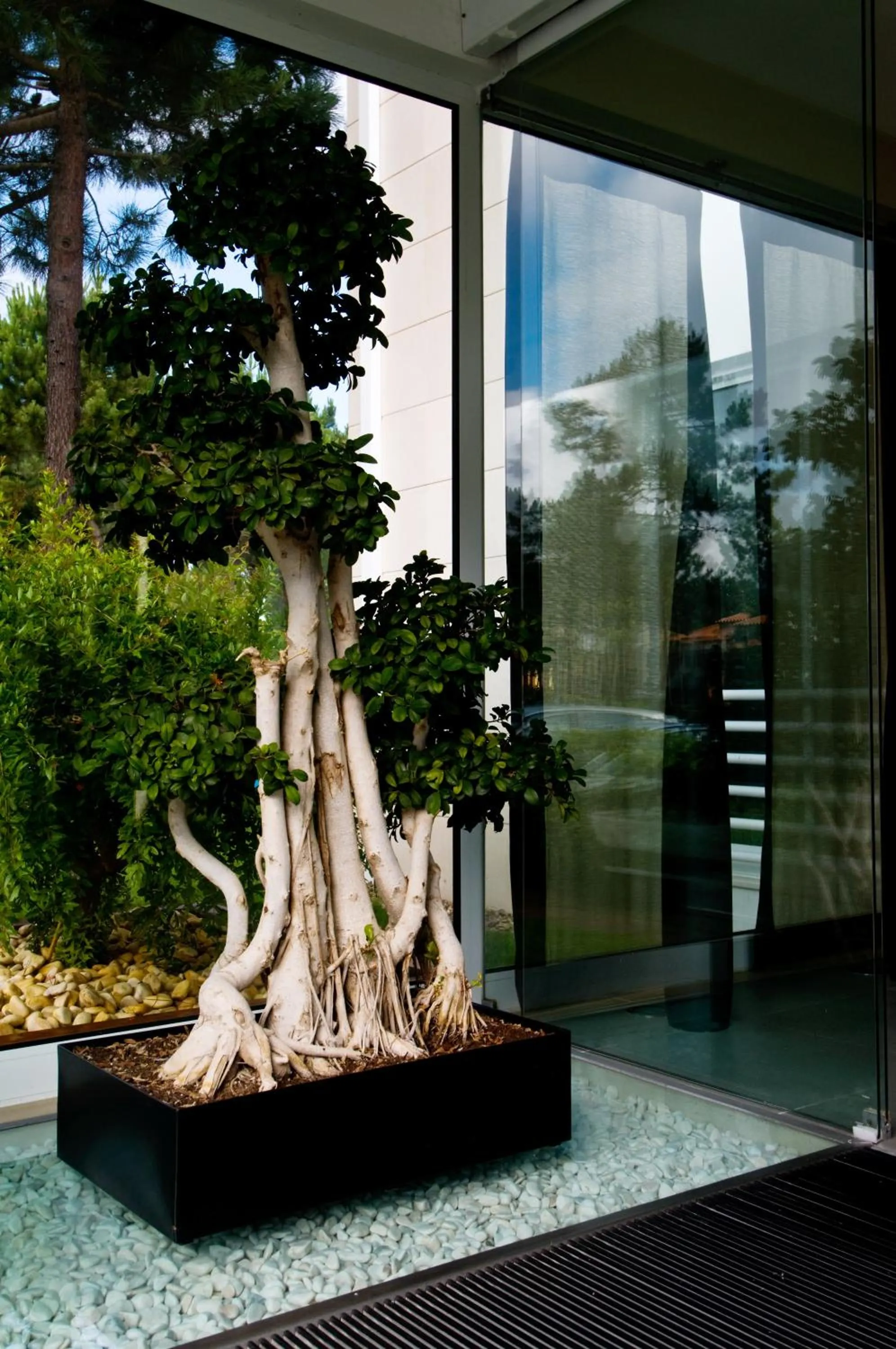 Facade/entrance in Lavanda Hotel Miravillas