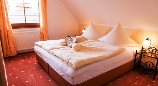 Photo of the whole room, Bed in Hotel Birkenhof Garni