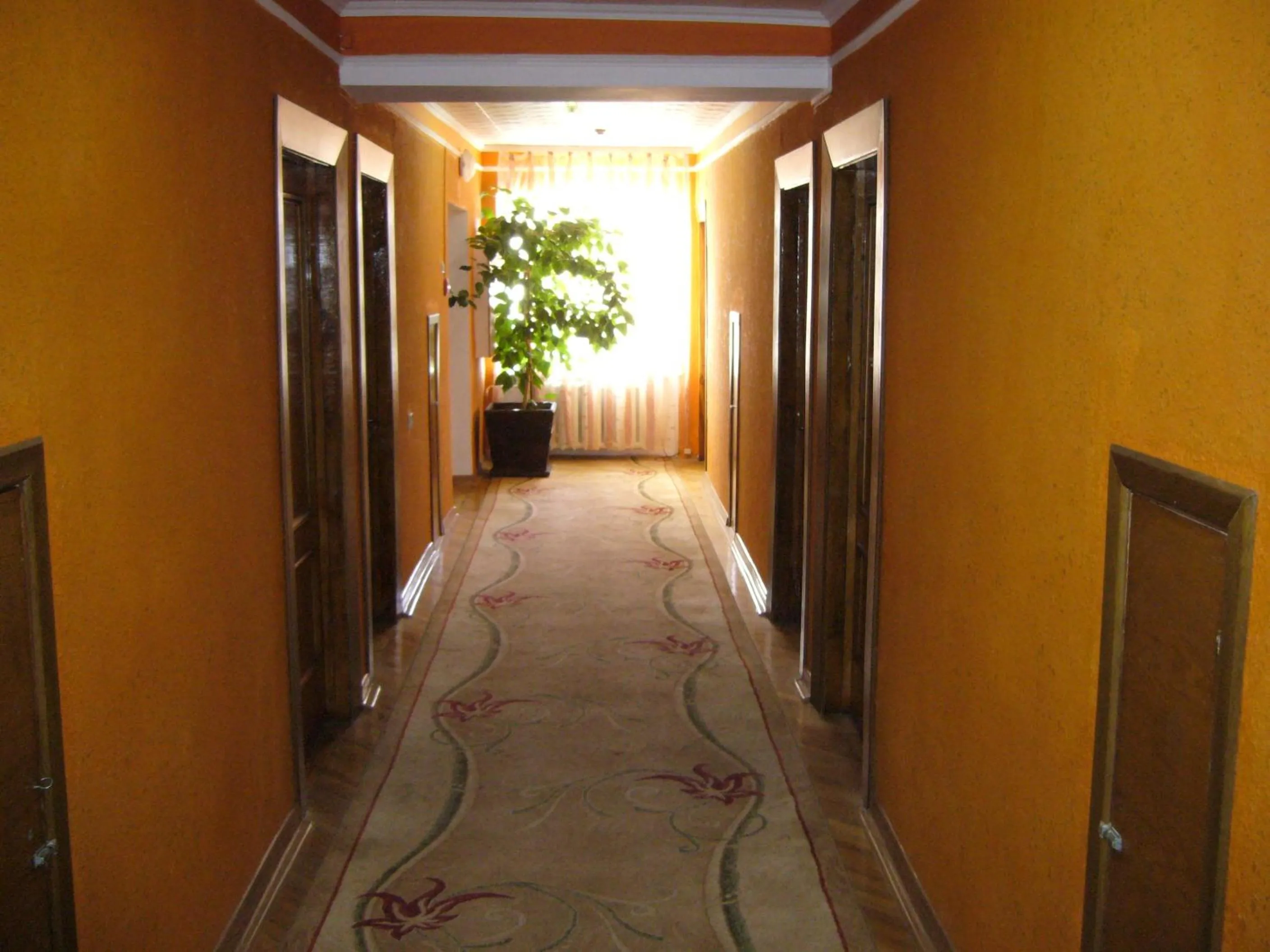 Hotel Profspilkovyi