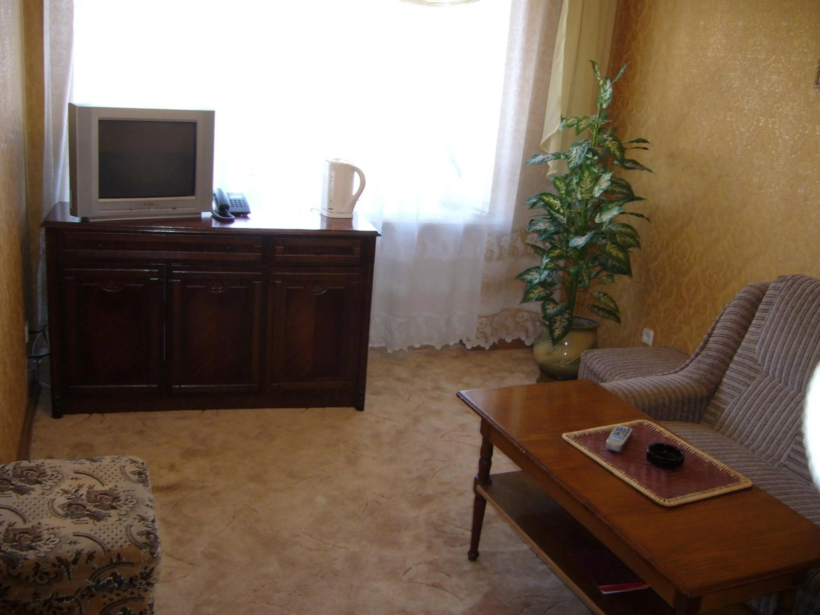 Hotel Profspilkovyi