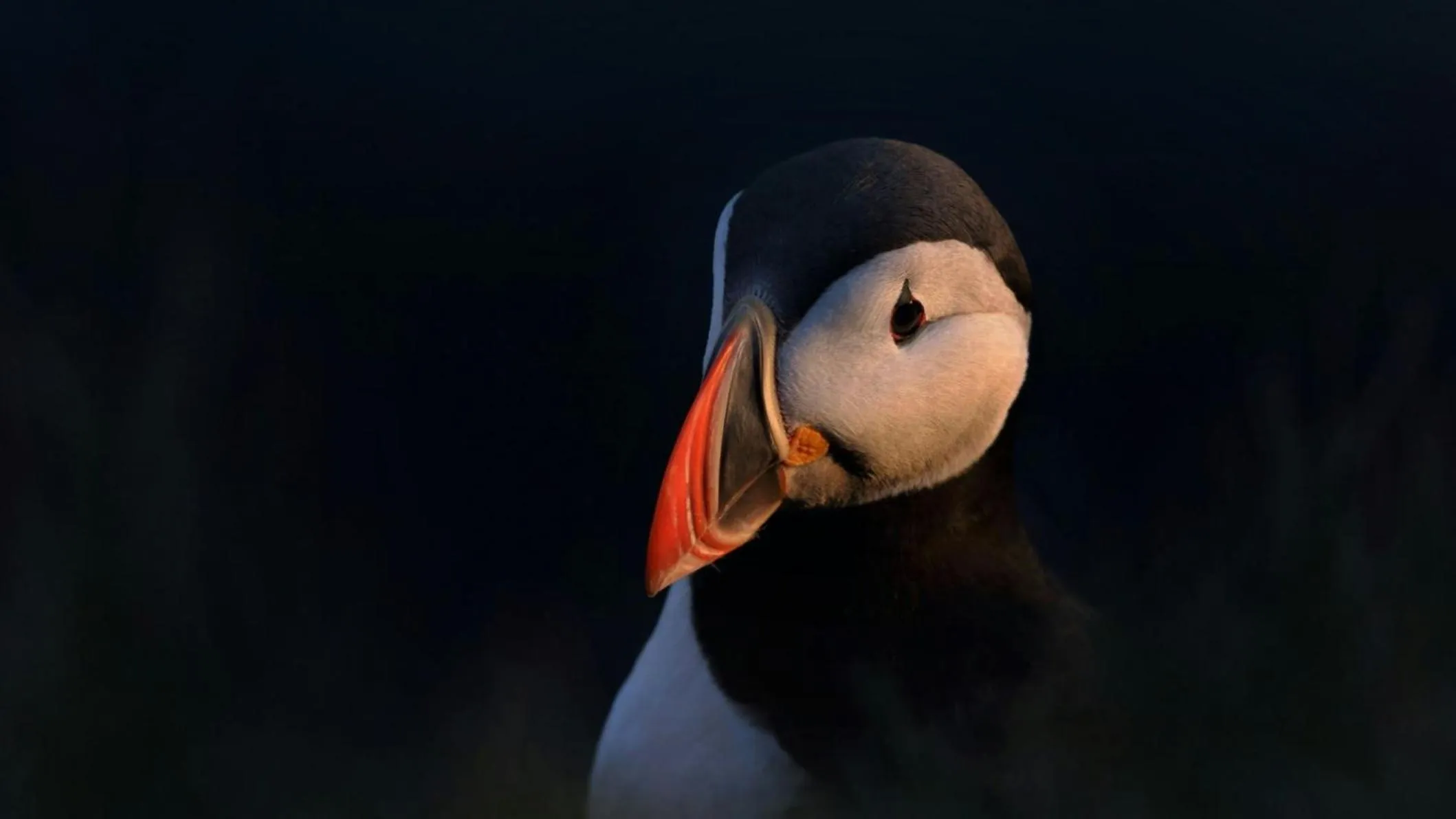Nearby landmark in Hotel Vestmannaeyjar