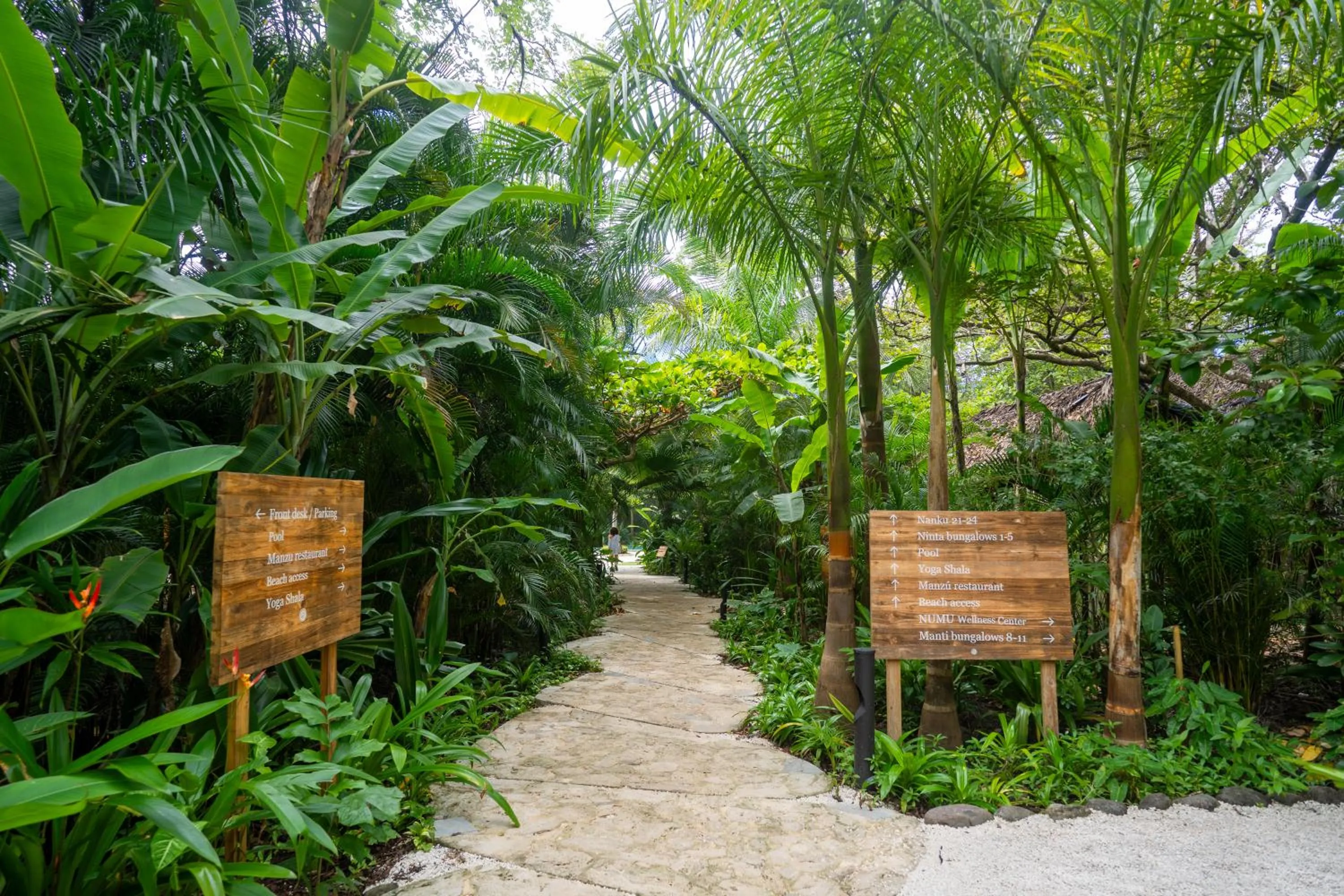 Garden in Hotel Nantipa - A Tico Beach Experience