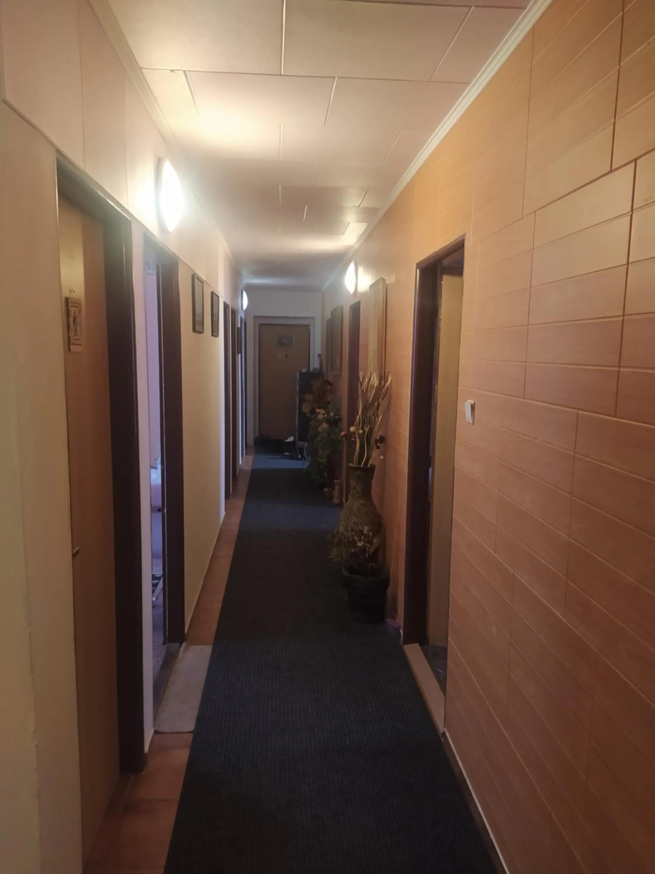 Property building in Dřevěnka