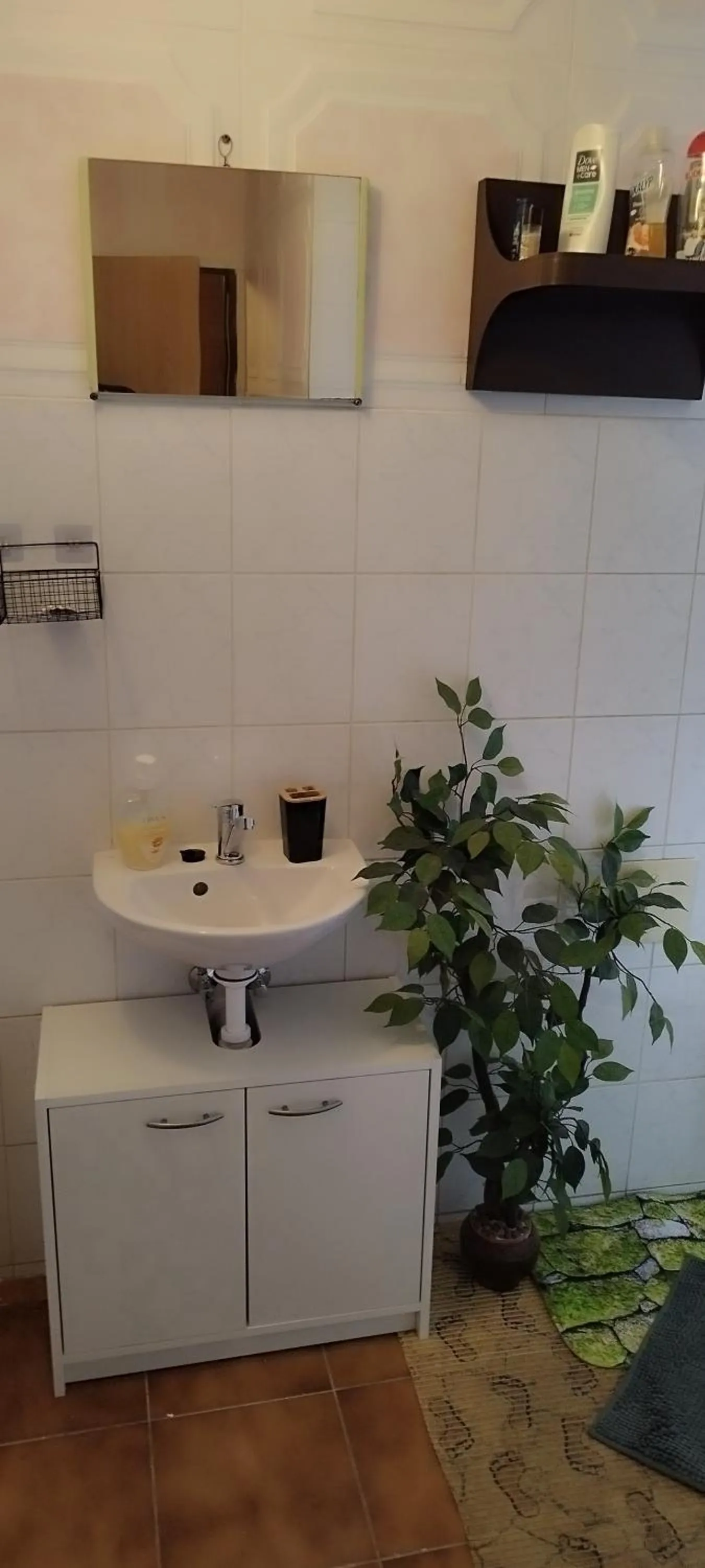 Property building in Dřevěnka