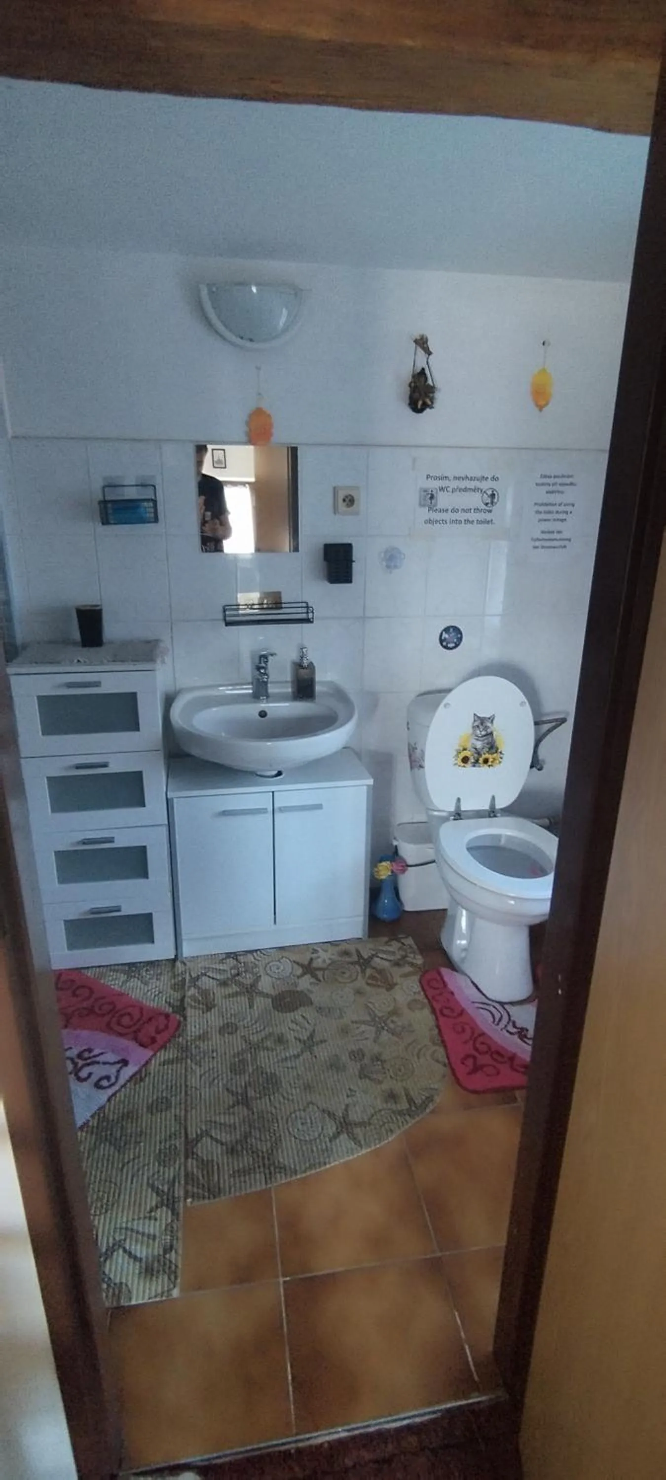 Shower in Dřevěnka