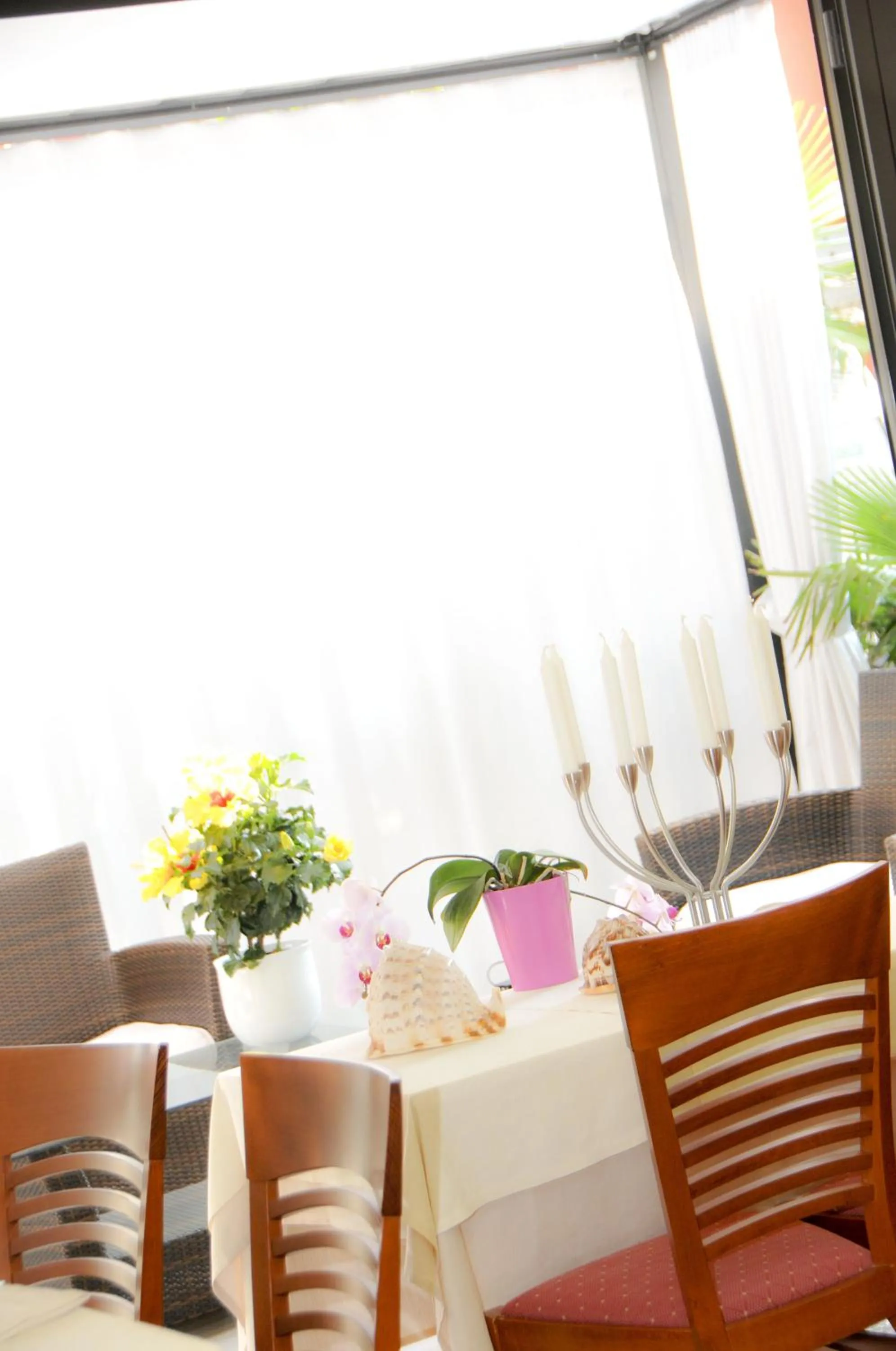 Restaurant/places to eat in Hotel Da Mario