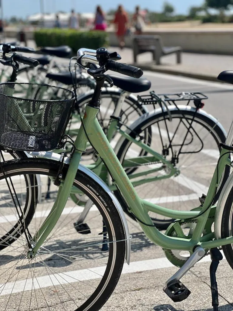 Cycling in Park Hotel Pineta Boutique Hotel