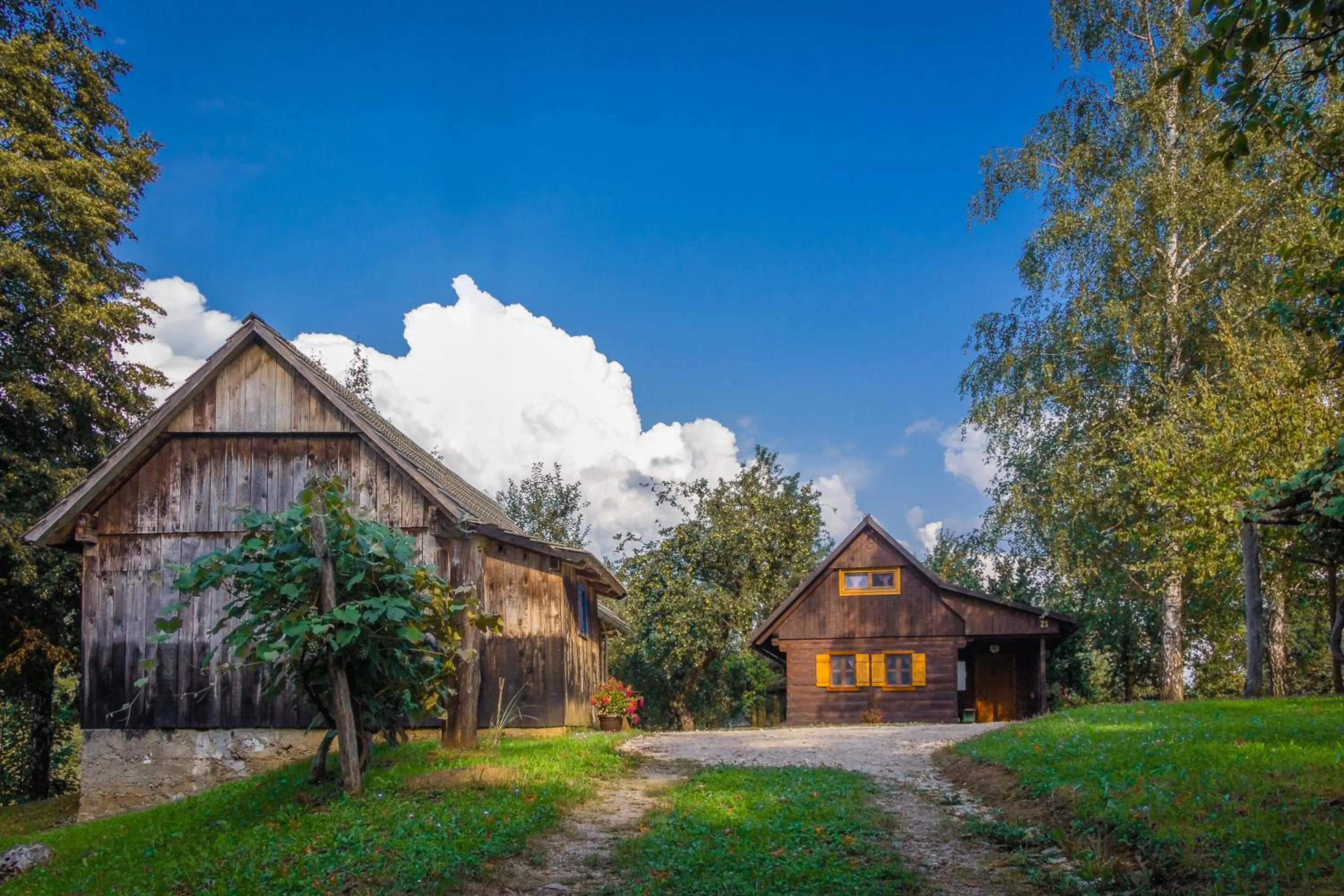 Neighbourhood in Kuća za odmor Cindrić