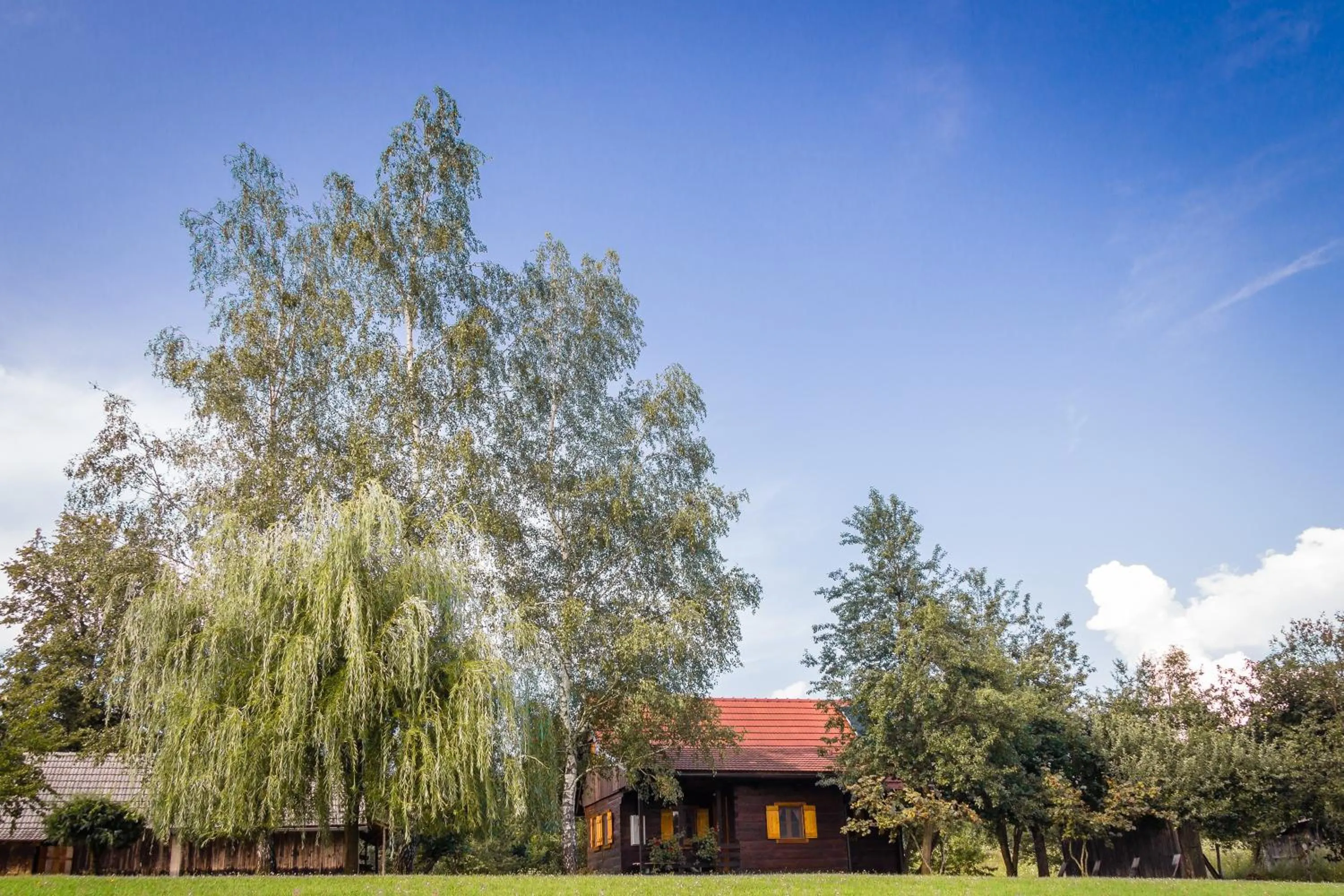 Neighbourhood in Kuća za odmor Cindrić