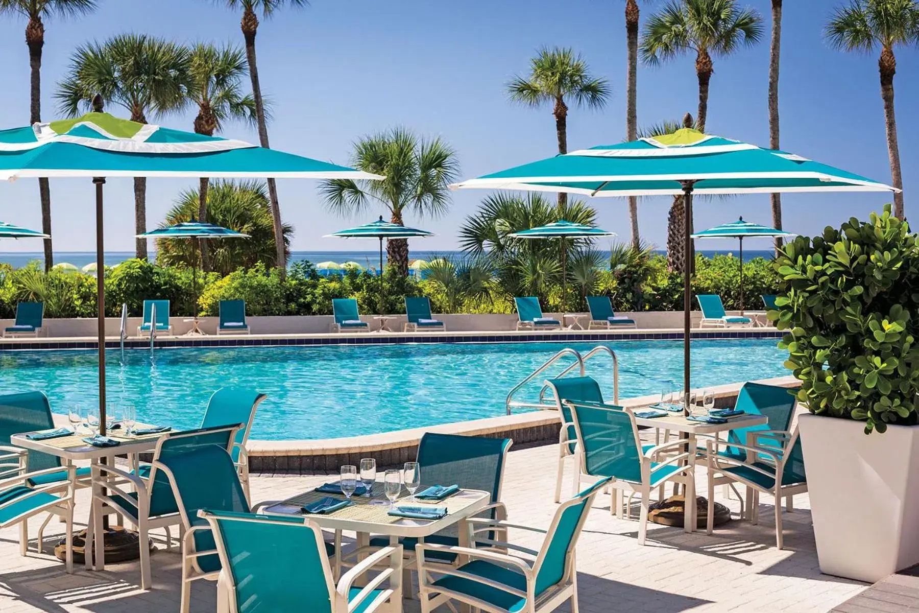 Restaurant/places to eat in Resort at Longboat Key Club Restaurant/places to eat in Resort at Longboat Key Club