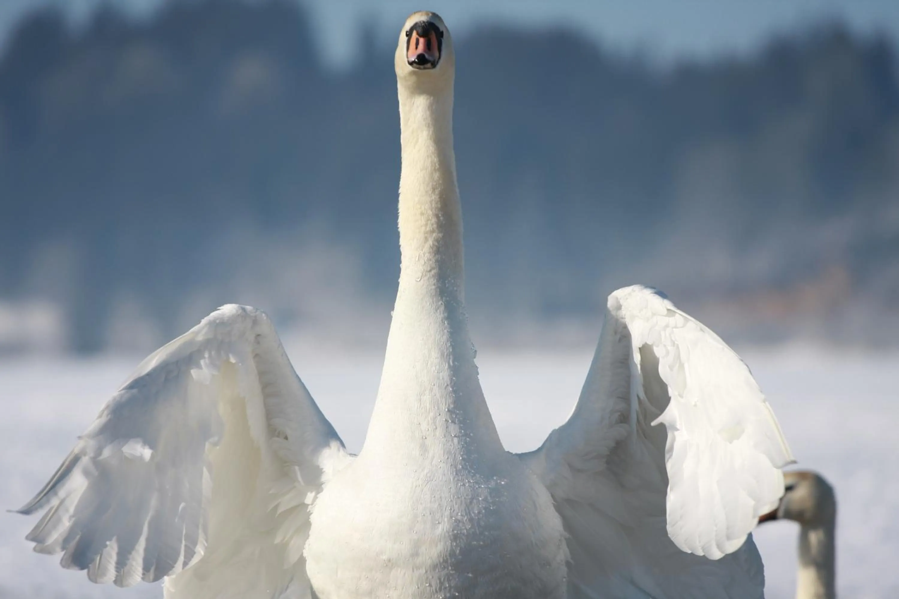 Off site in Hôtel de la Poste