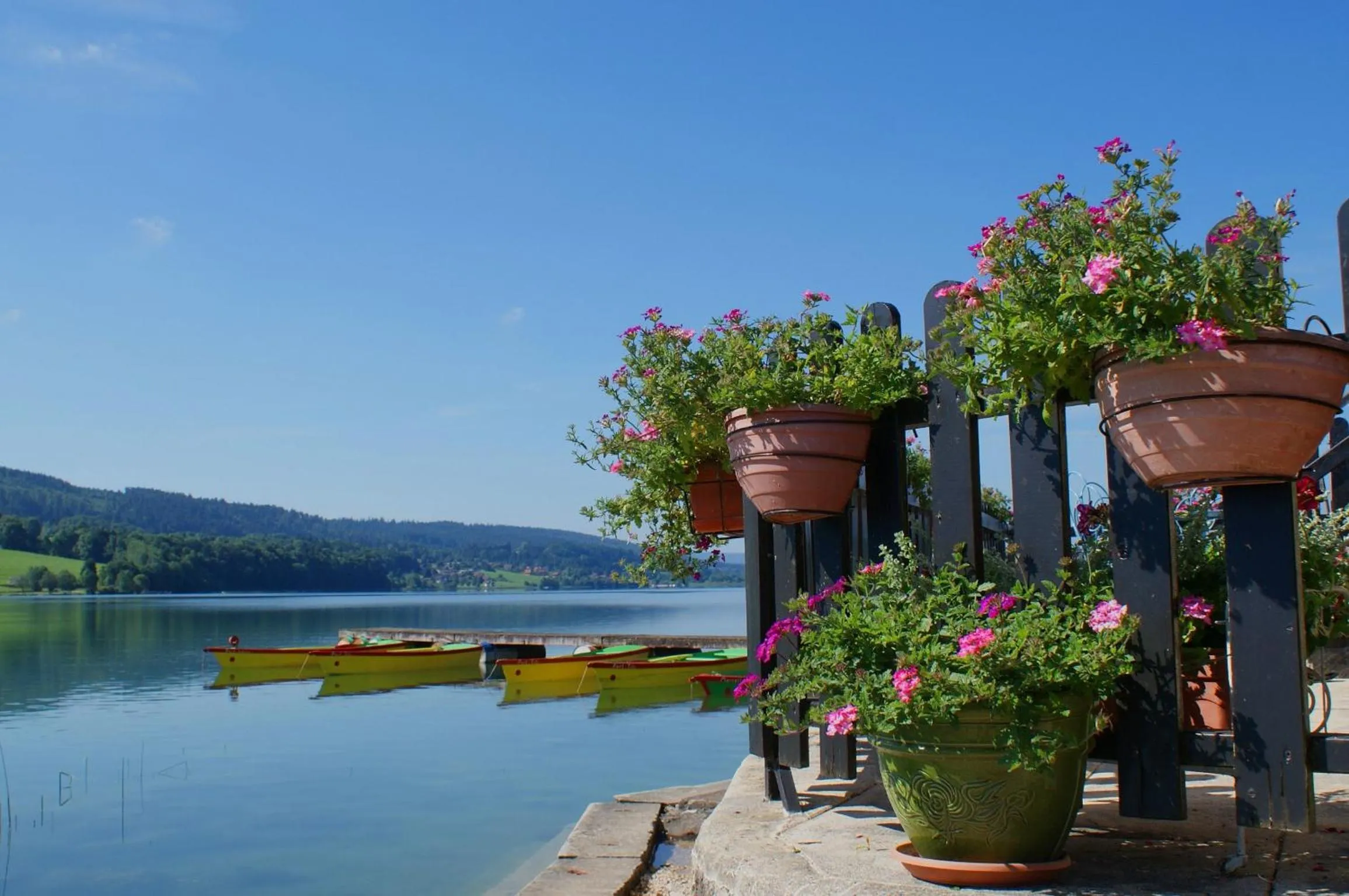 Natural landscape in Hôtel de la Poste