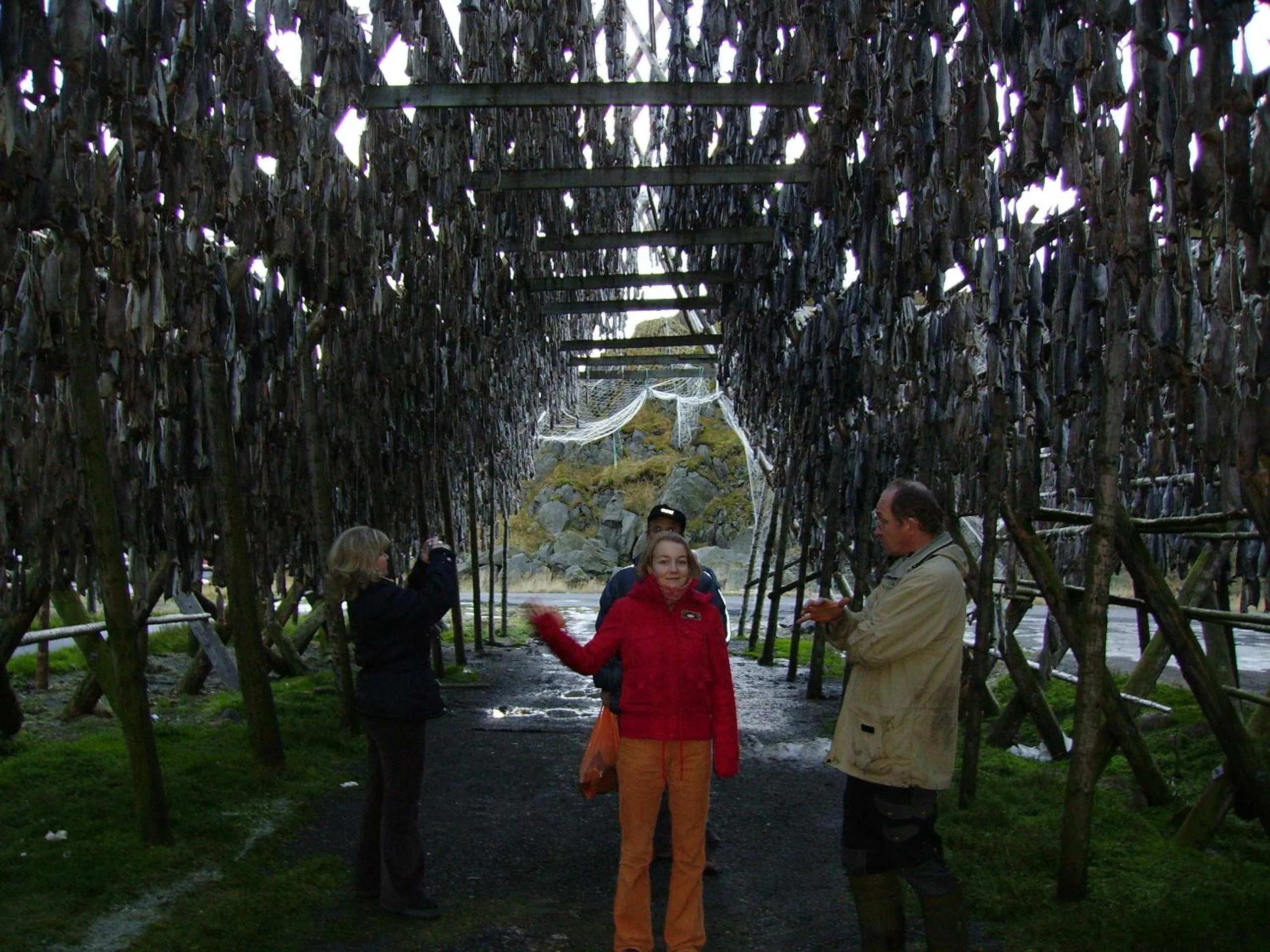 group of guests in Holmvik Brygge Nyksund