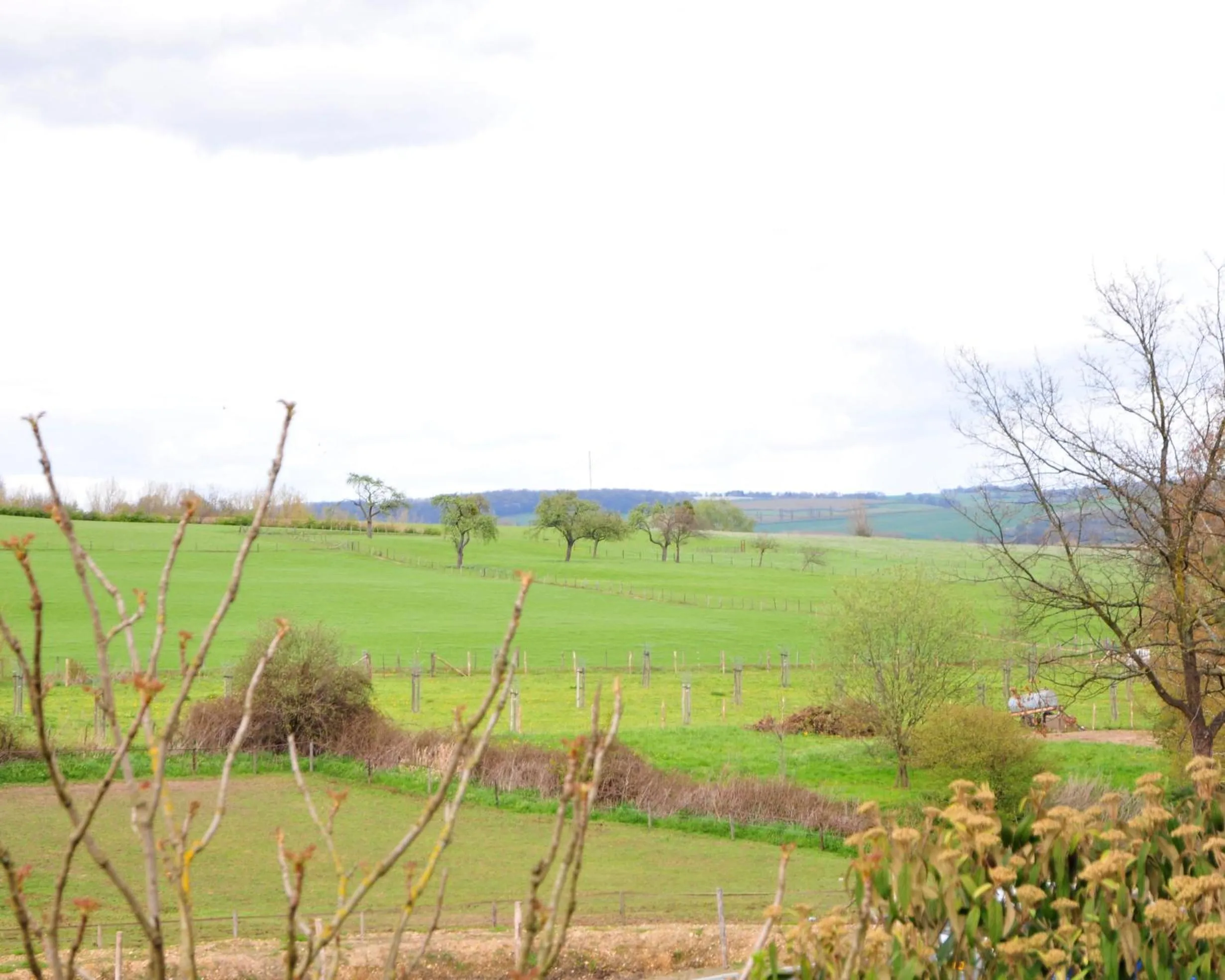 View (from property/room) in Hotel Eperland