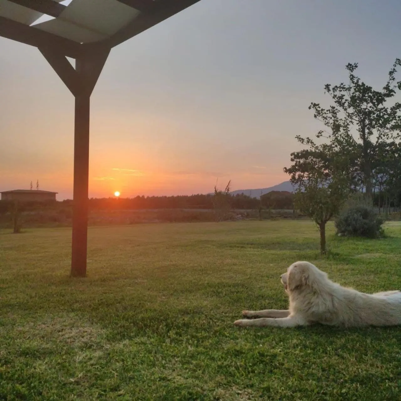 Garden in Fattoria Il Laghetto