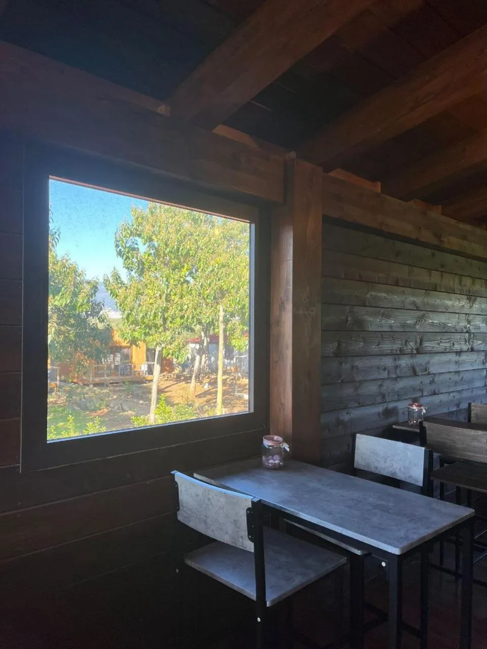 Kitchen or kitchenette in Fattoria Il Laghetto