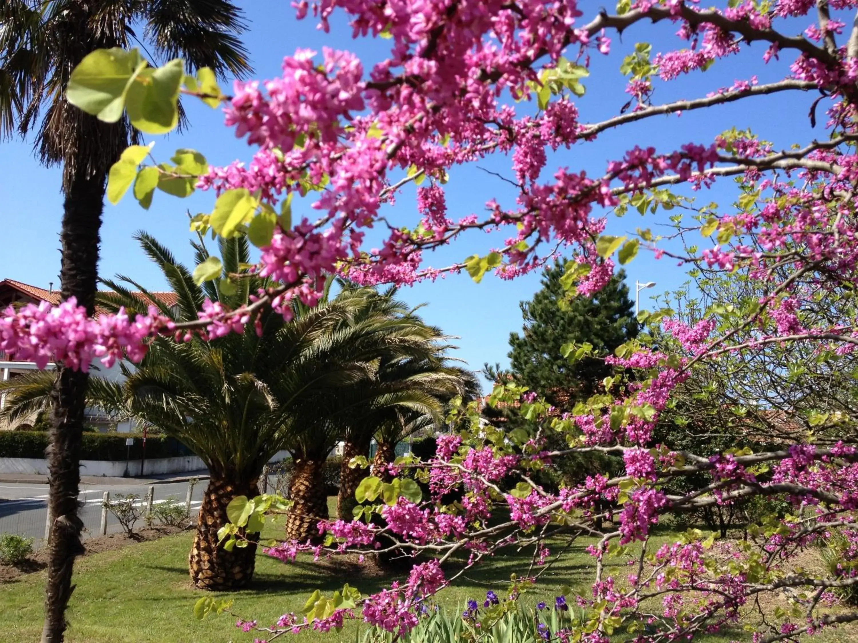Facade/entrance in Hotel Bellevue Facade/entrance in Hotel Bellevue