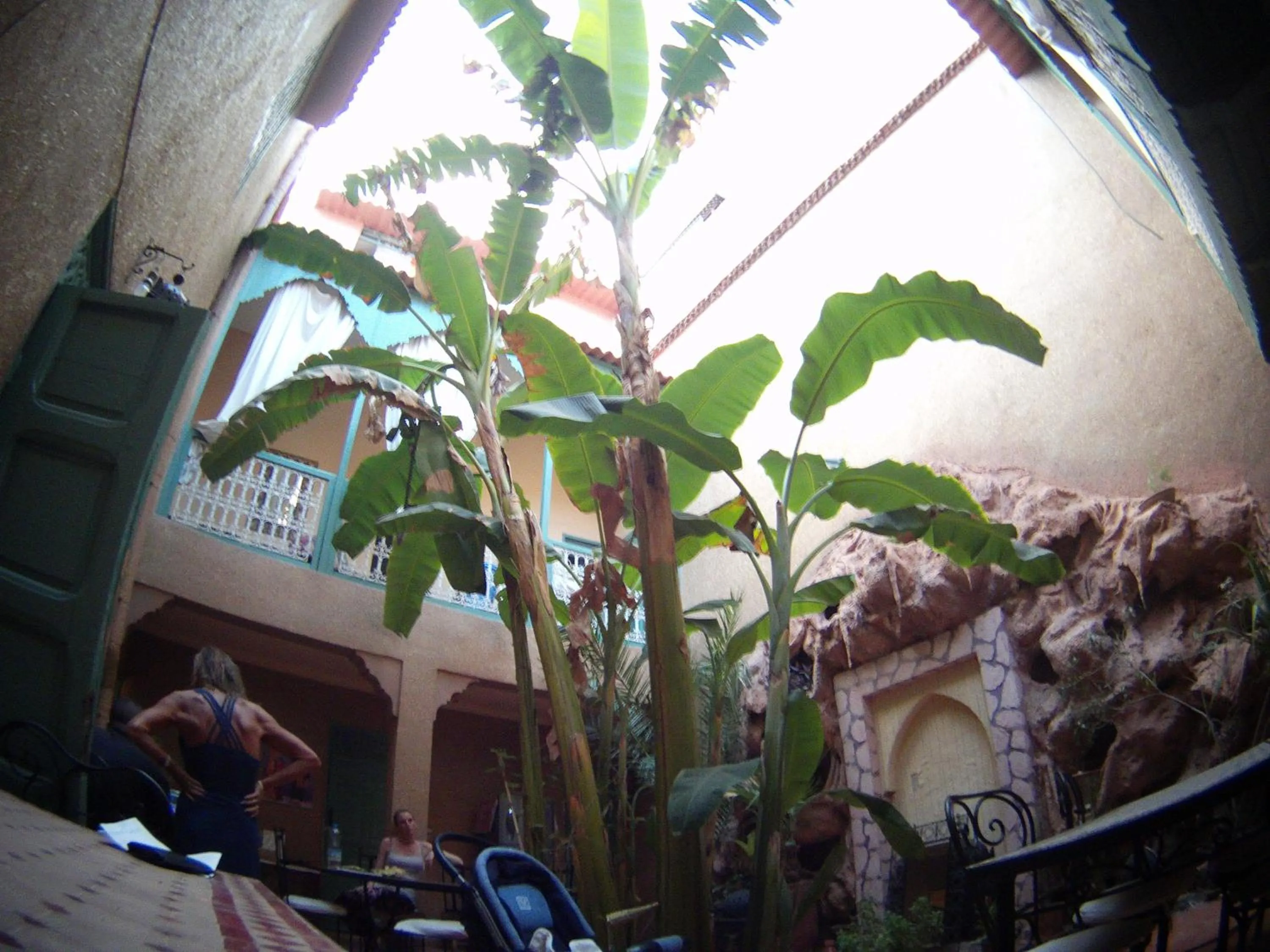 Other in Riad Dar Mchicha