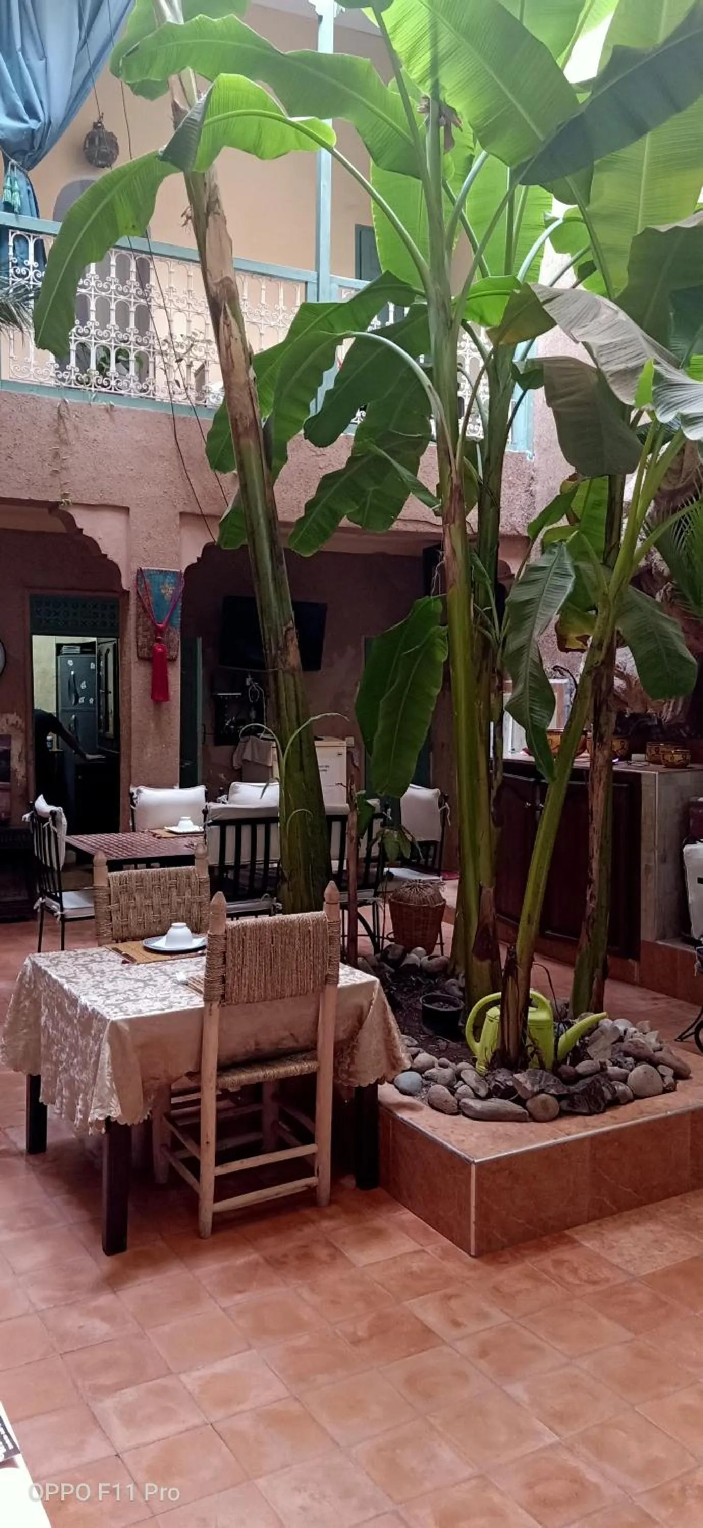 Riad Dar Mchicha