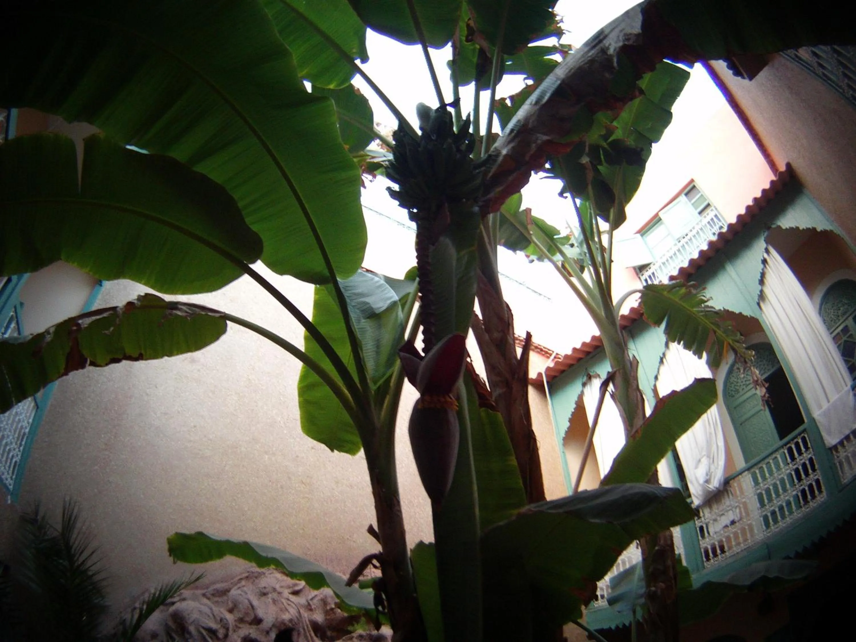 Other in Riad Dar Mchicha