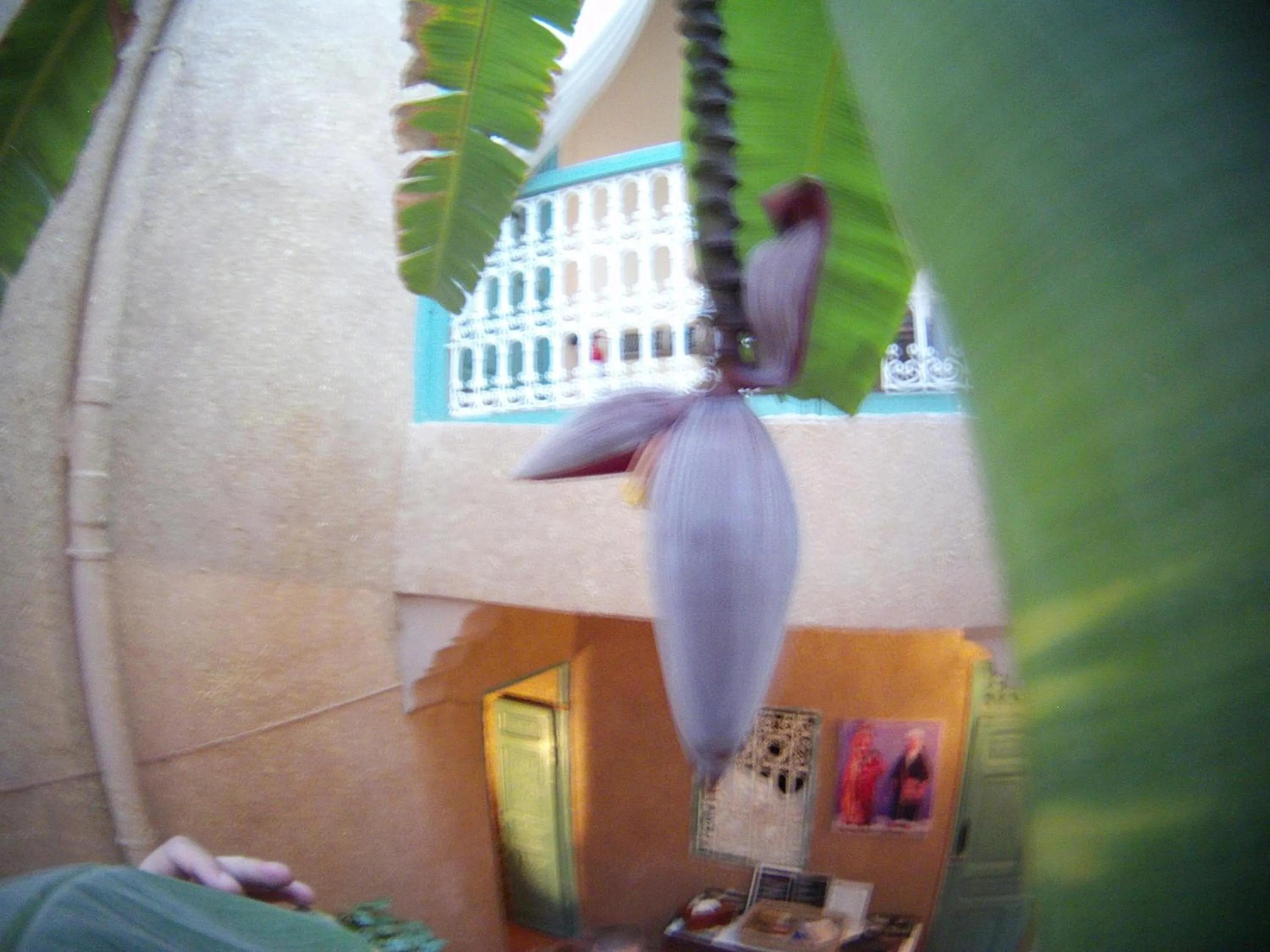 Other in Riad Dar Mchicha