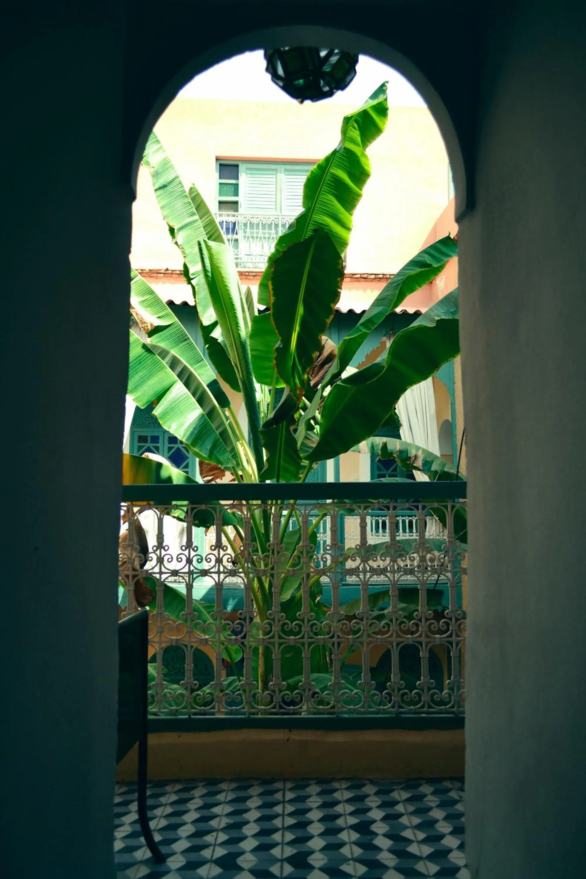 Day in Riad Dar Mchicha