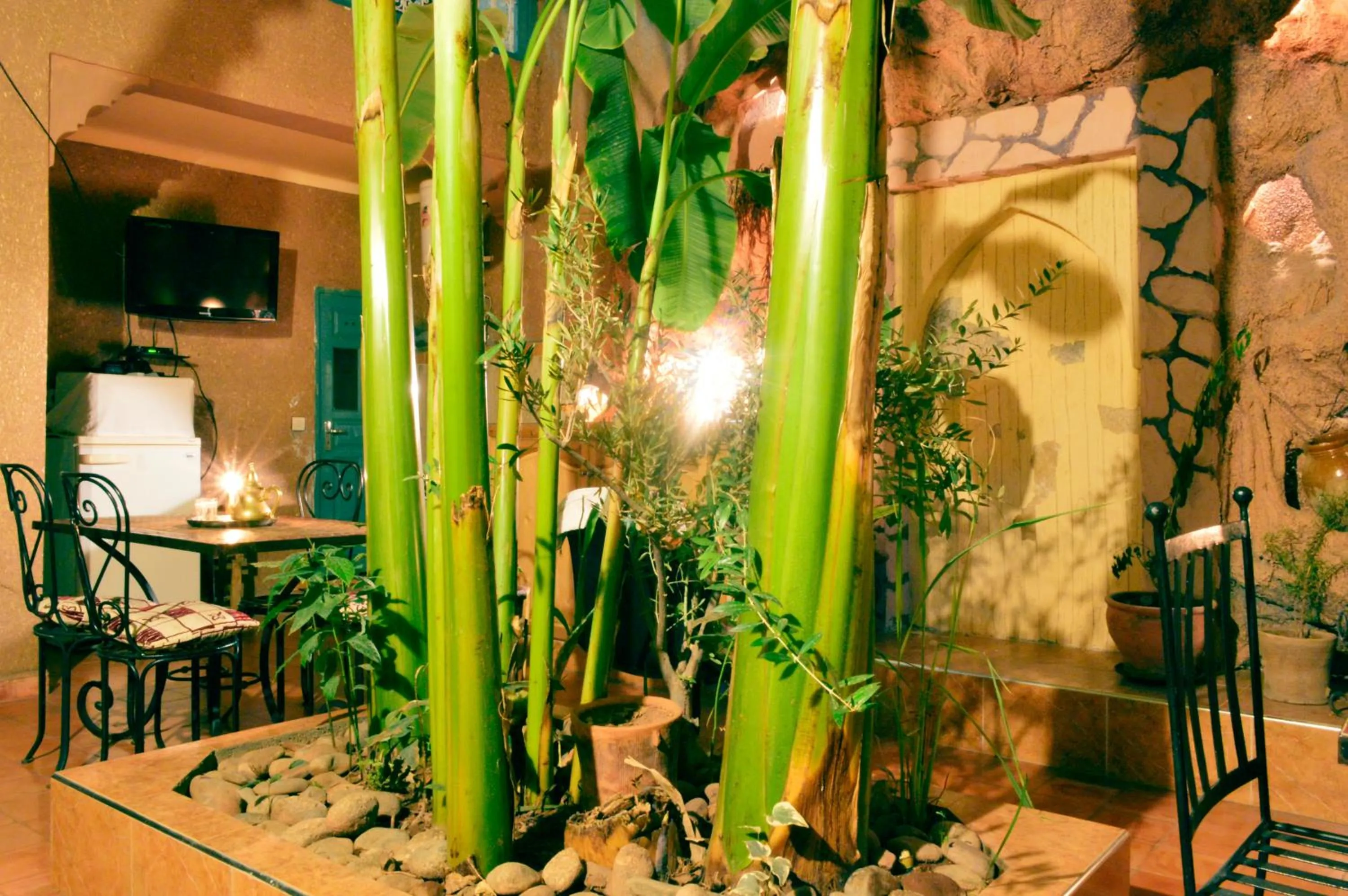 Patio in Riad Dar Mchicha